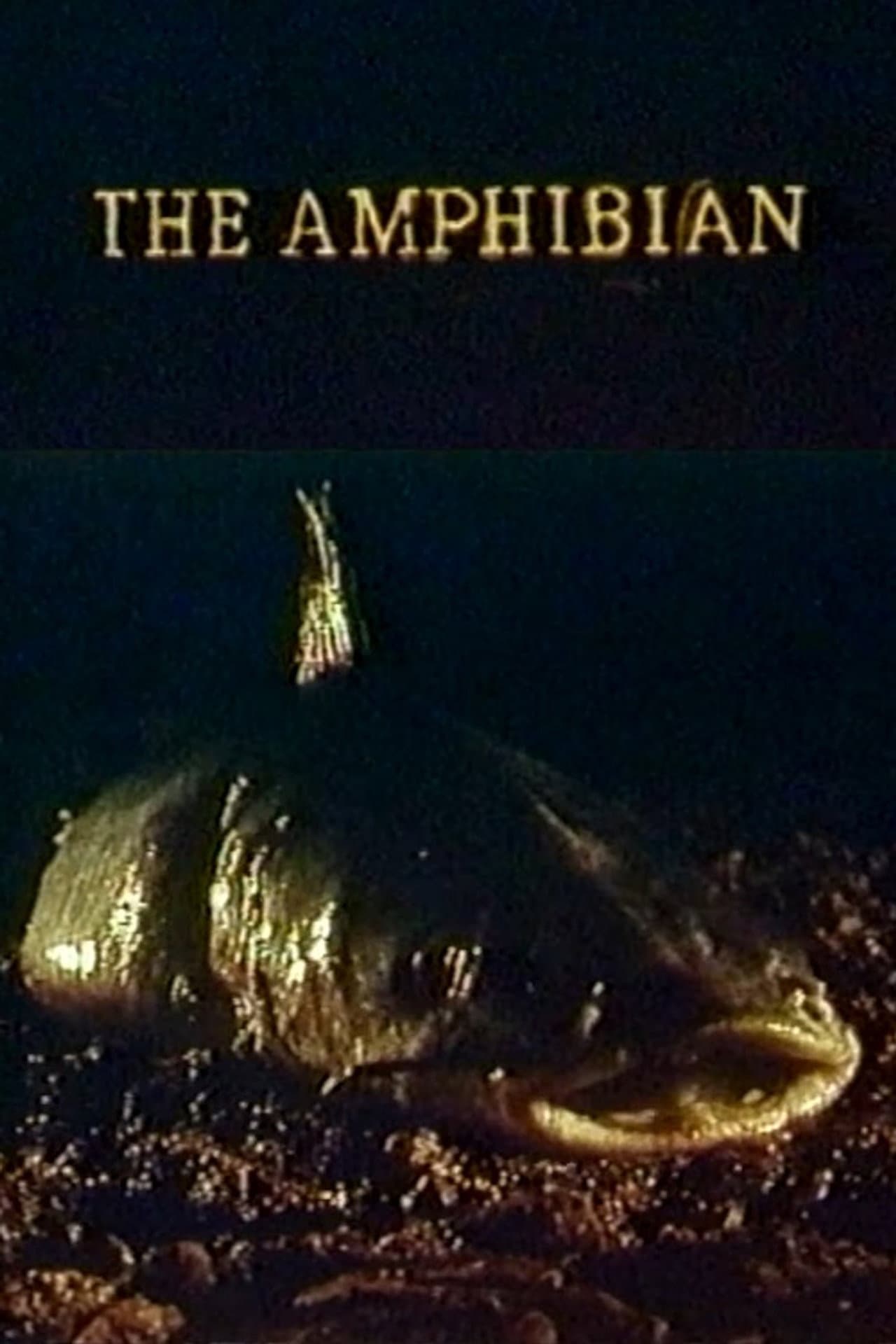 The Amphibian preview 2