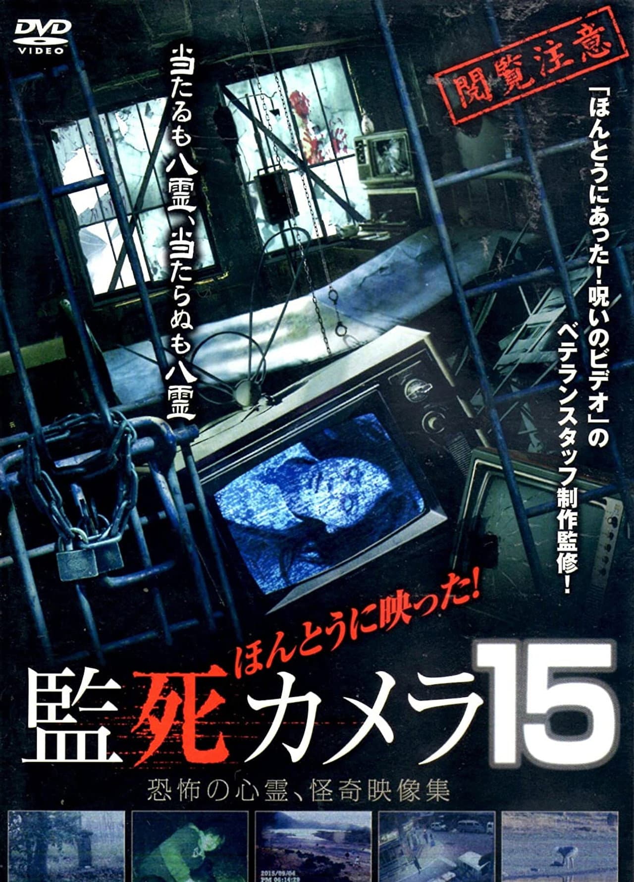 Paranormal Surveillance Camera 15 preview 1