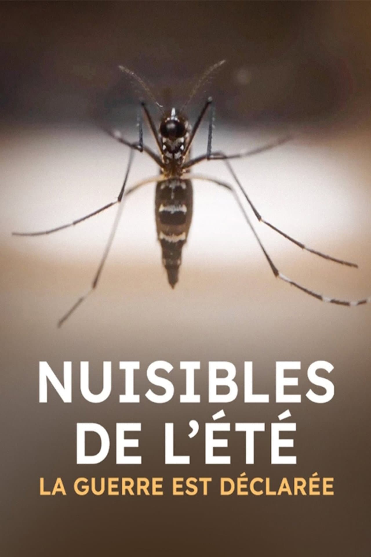 Nuisibles de l'été, la guerre est déclarée preview 1