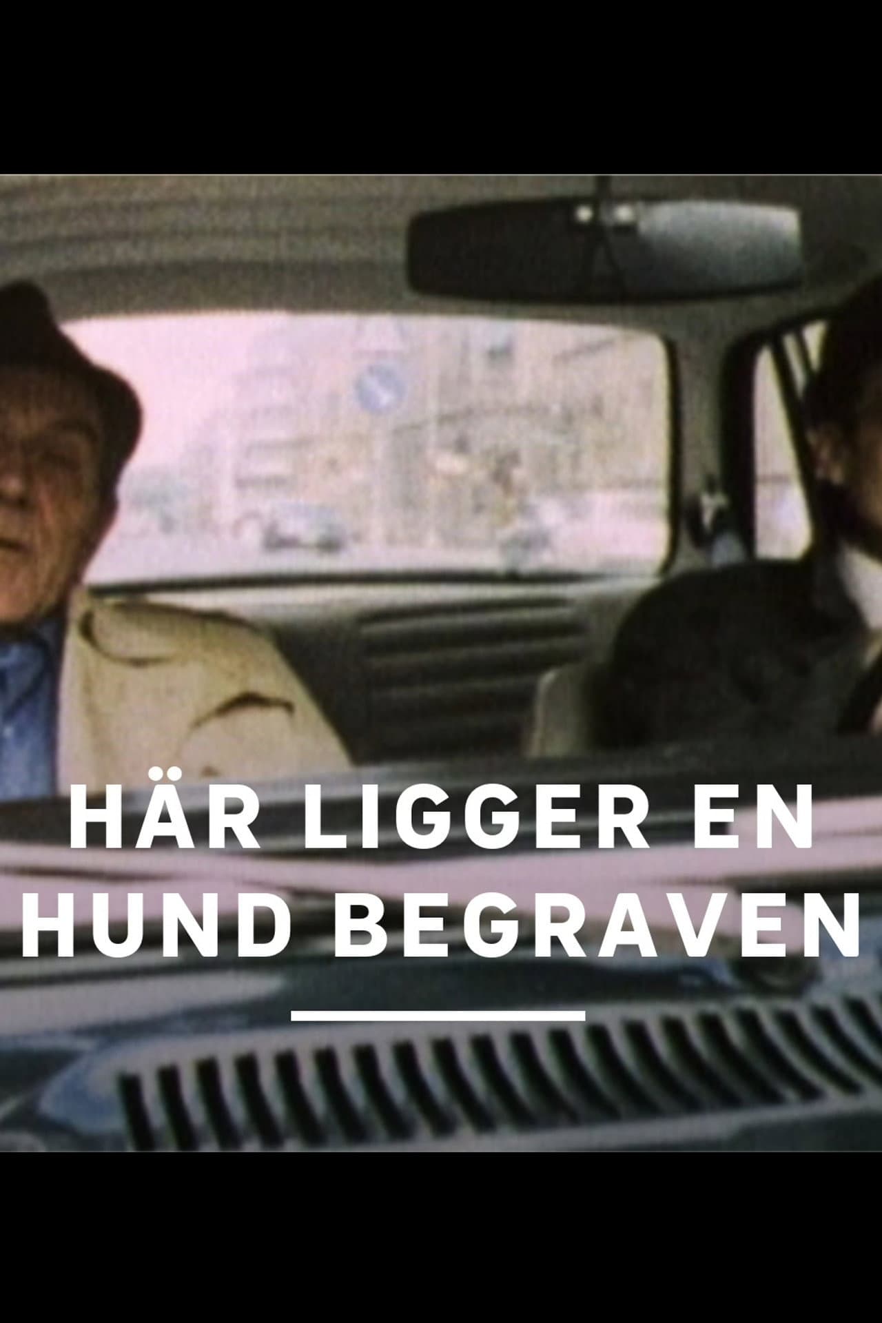 Här ligger en hund begraven preview 2