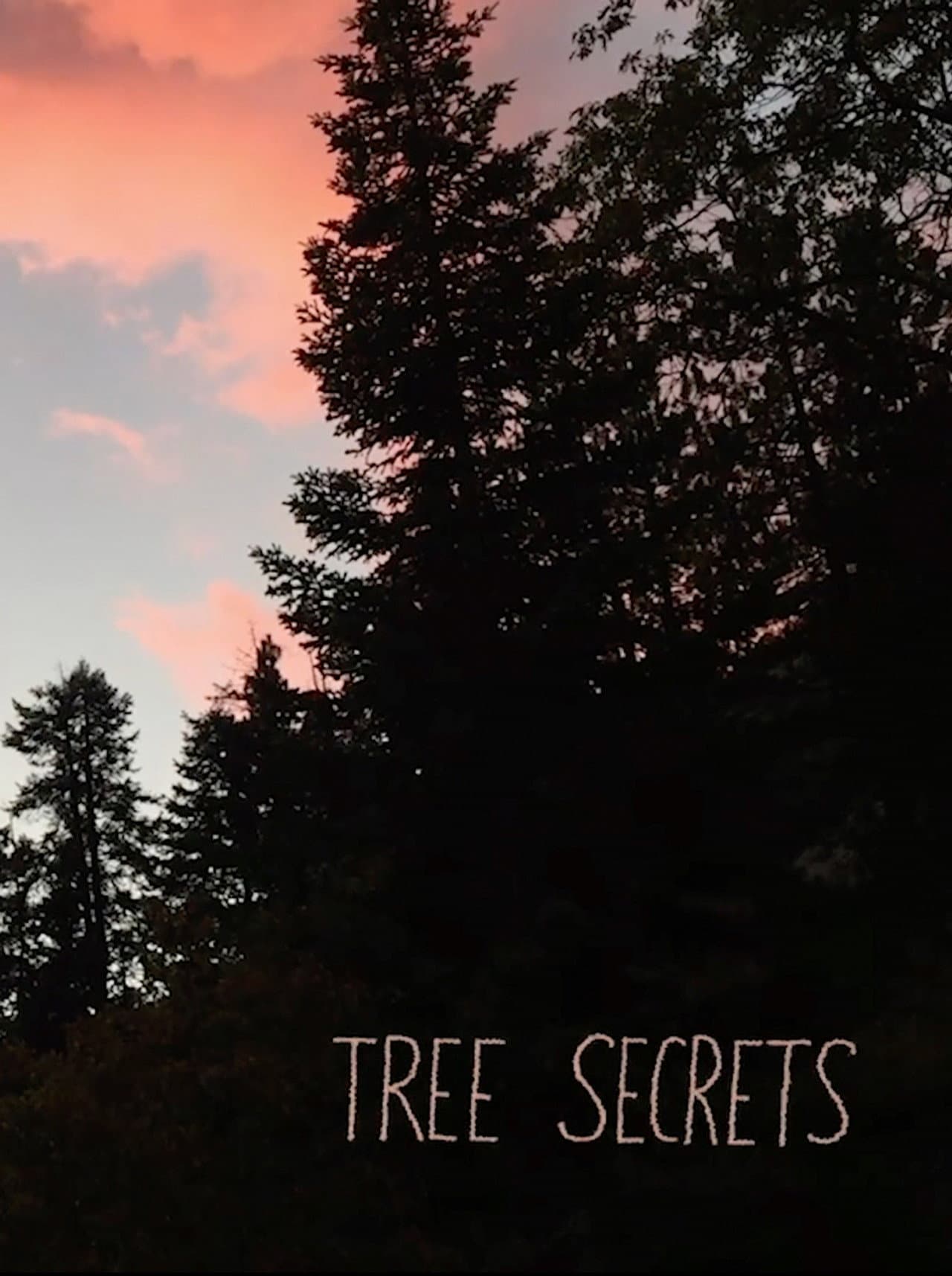 Tree Secrets preview 1