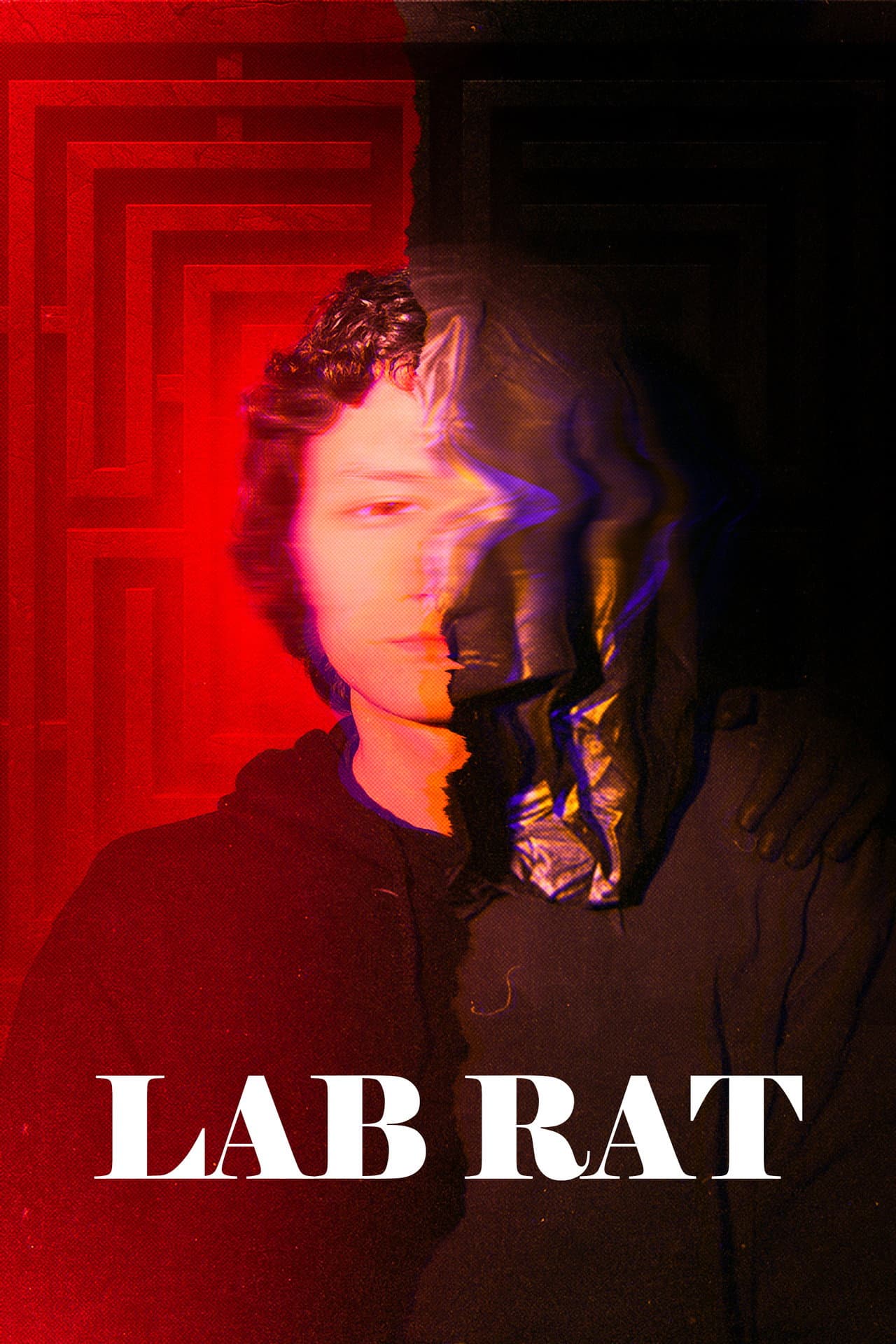 Lab Rat preview 2
