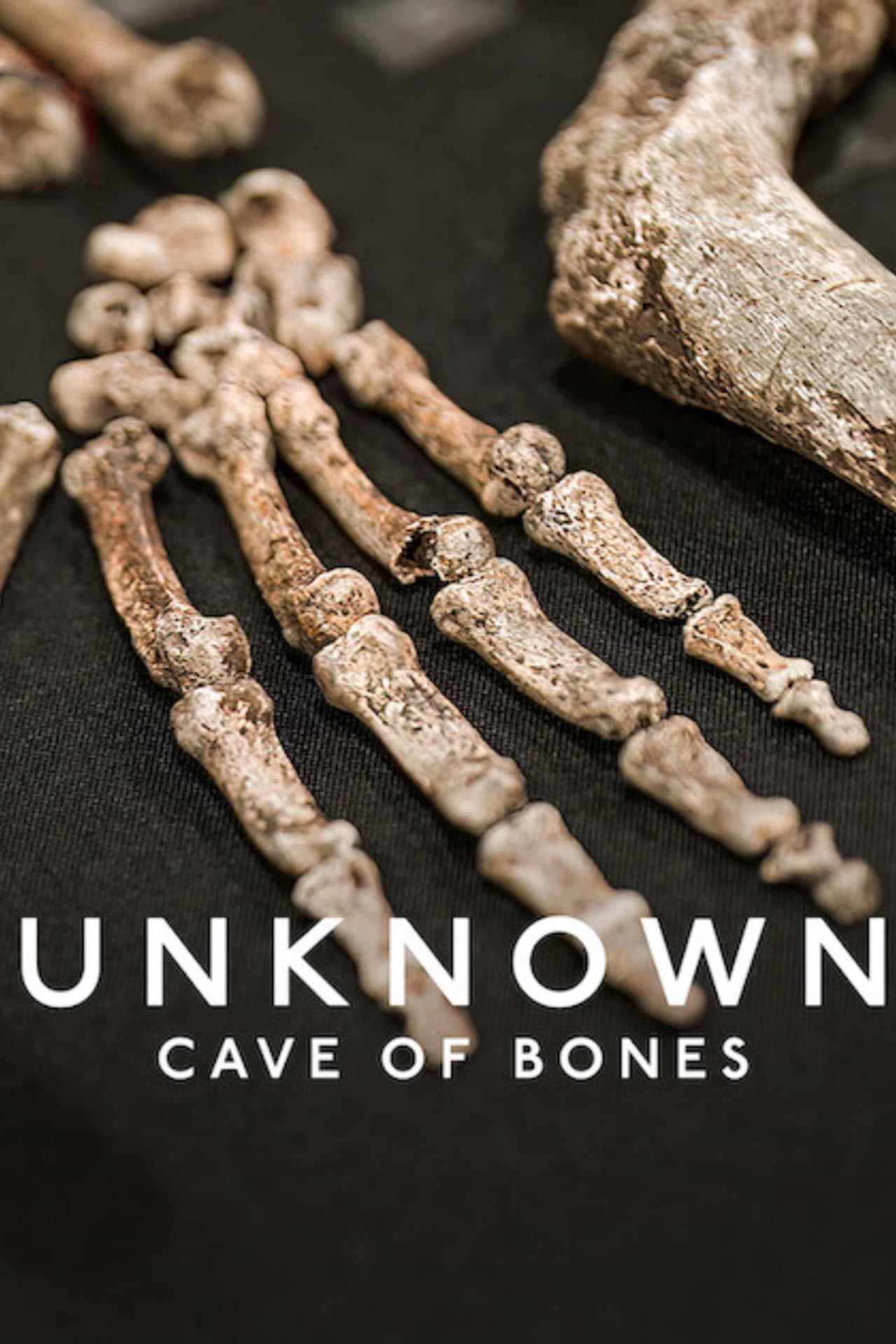 Unknown: Cave of Bones preview 2