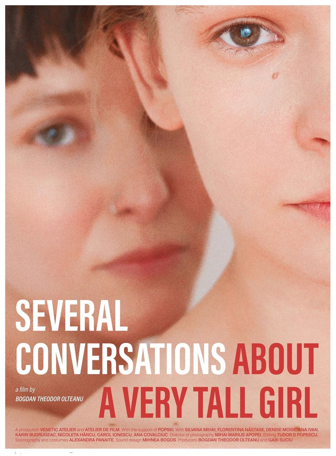 Several Conversations About a Very Tall Girl preview 2
