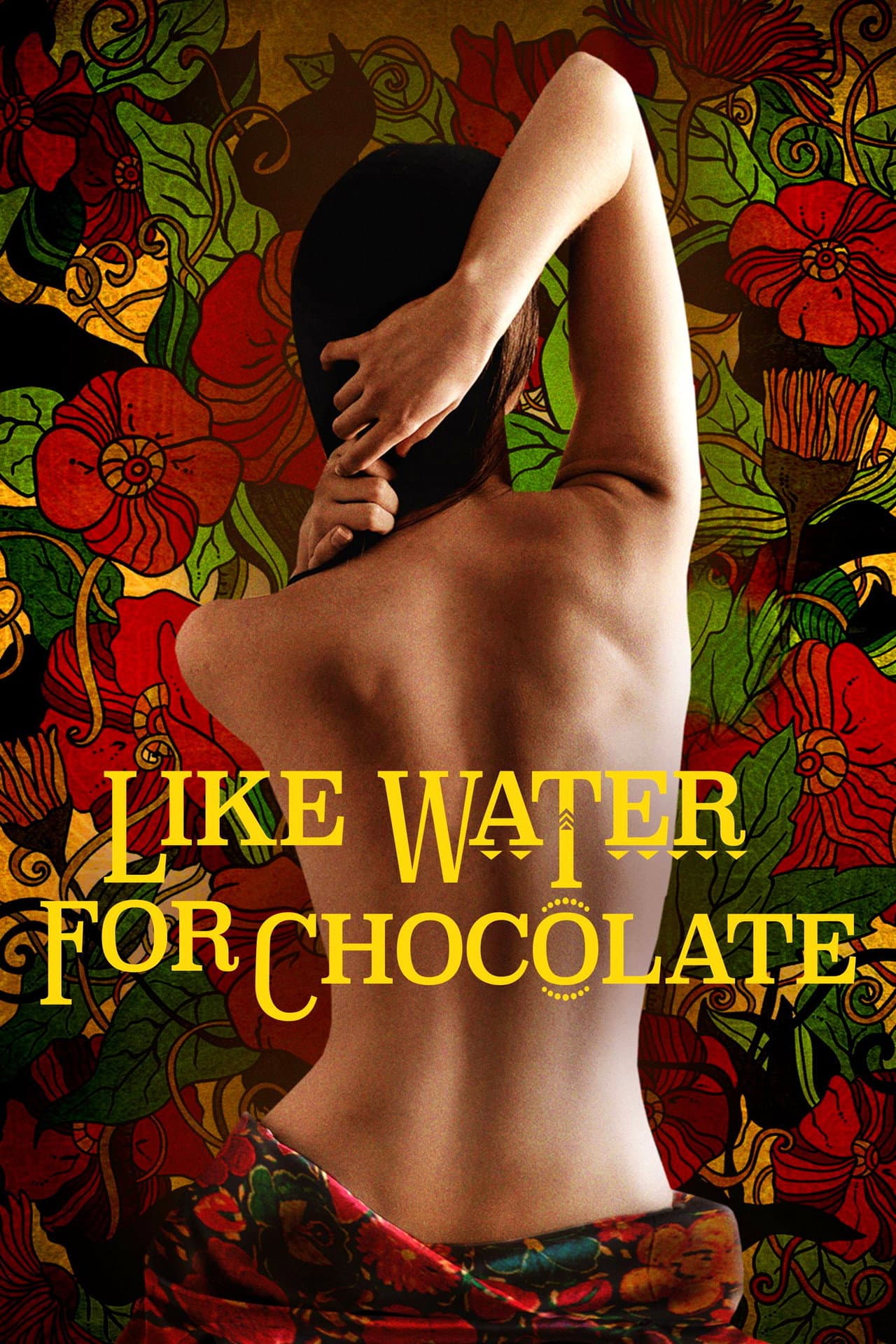 Like Water for Chocolate preview 2