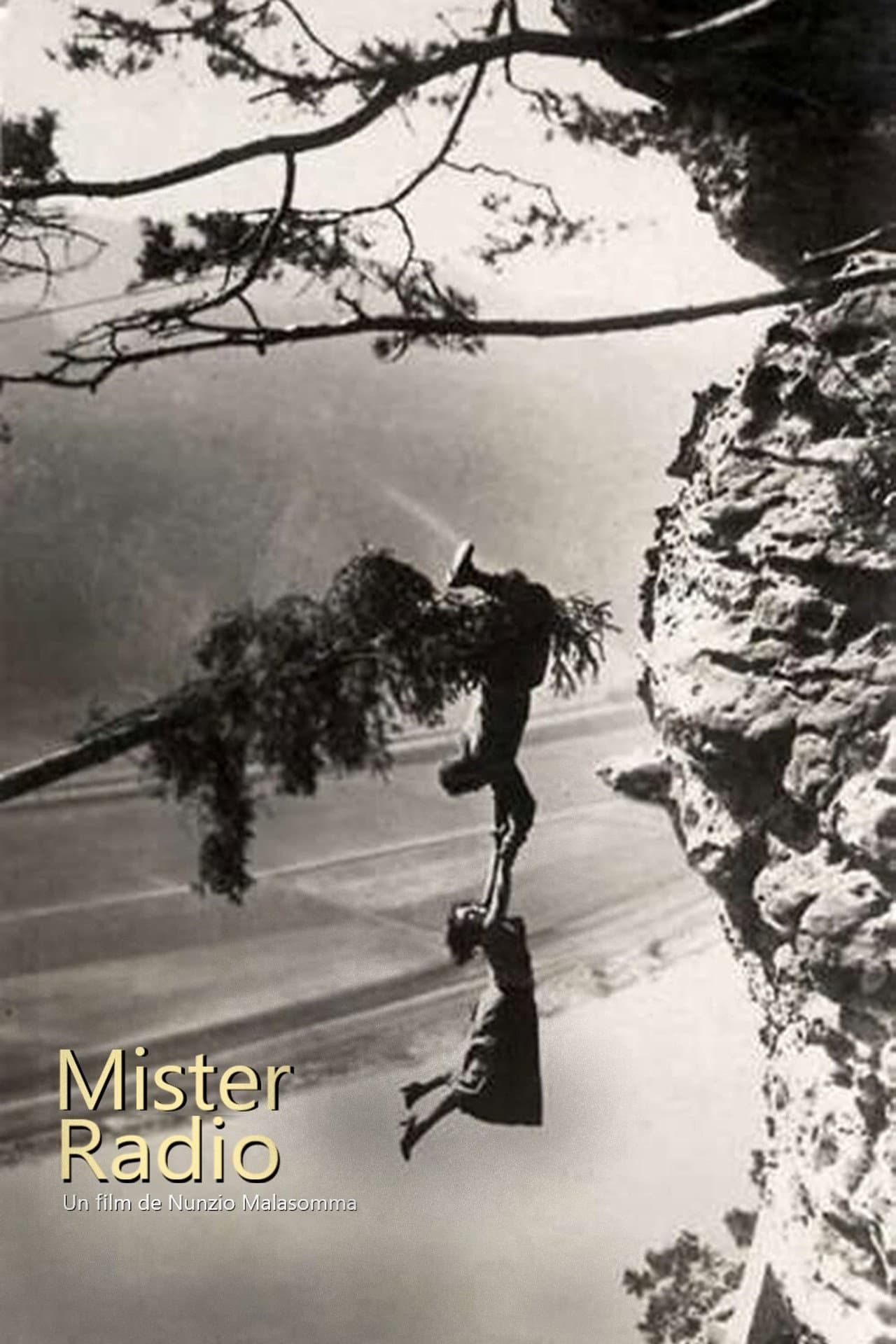 Mister Radio preview 2