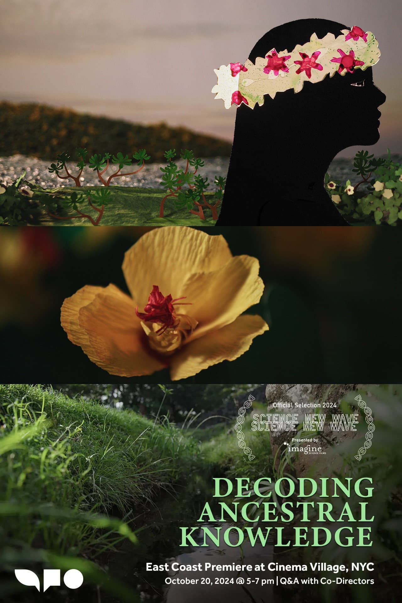Decoding Ancestral Knowledge preview 1