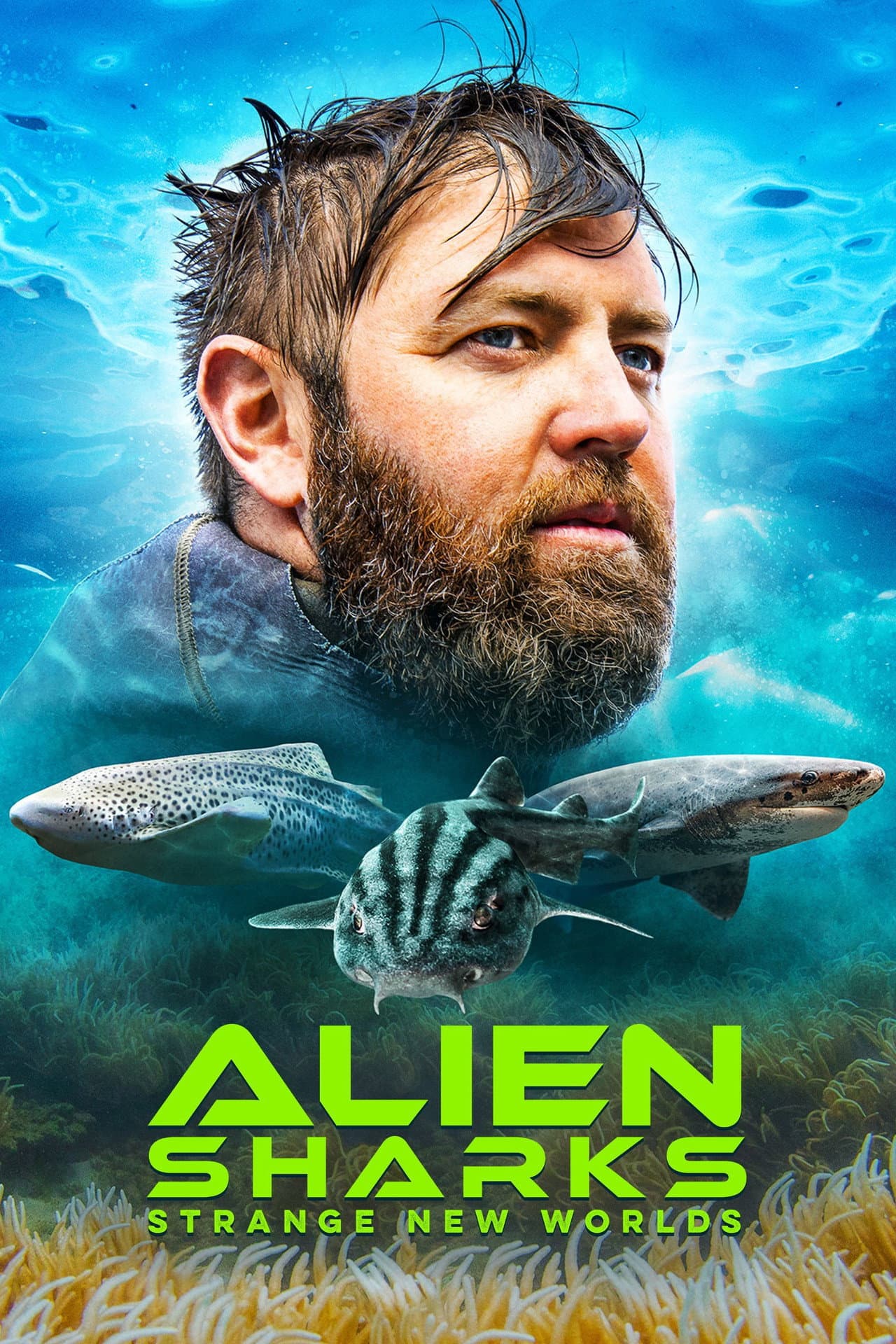 Alien Sharks: Strange New Worlds preview 2