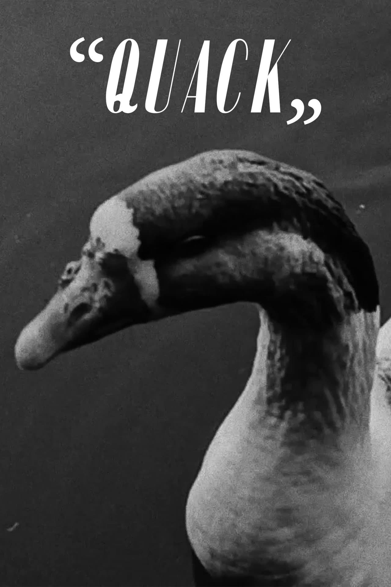 “Quack” preview 2