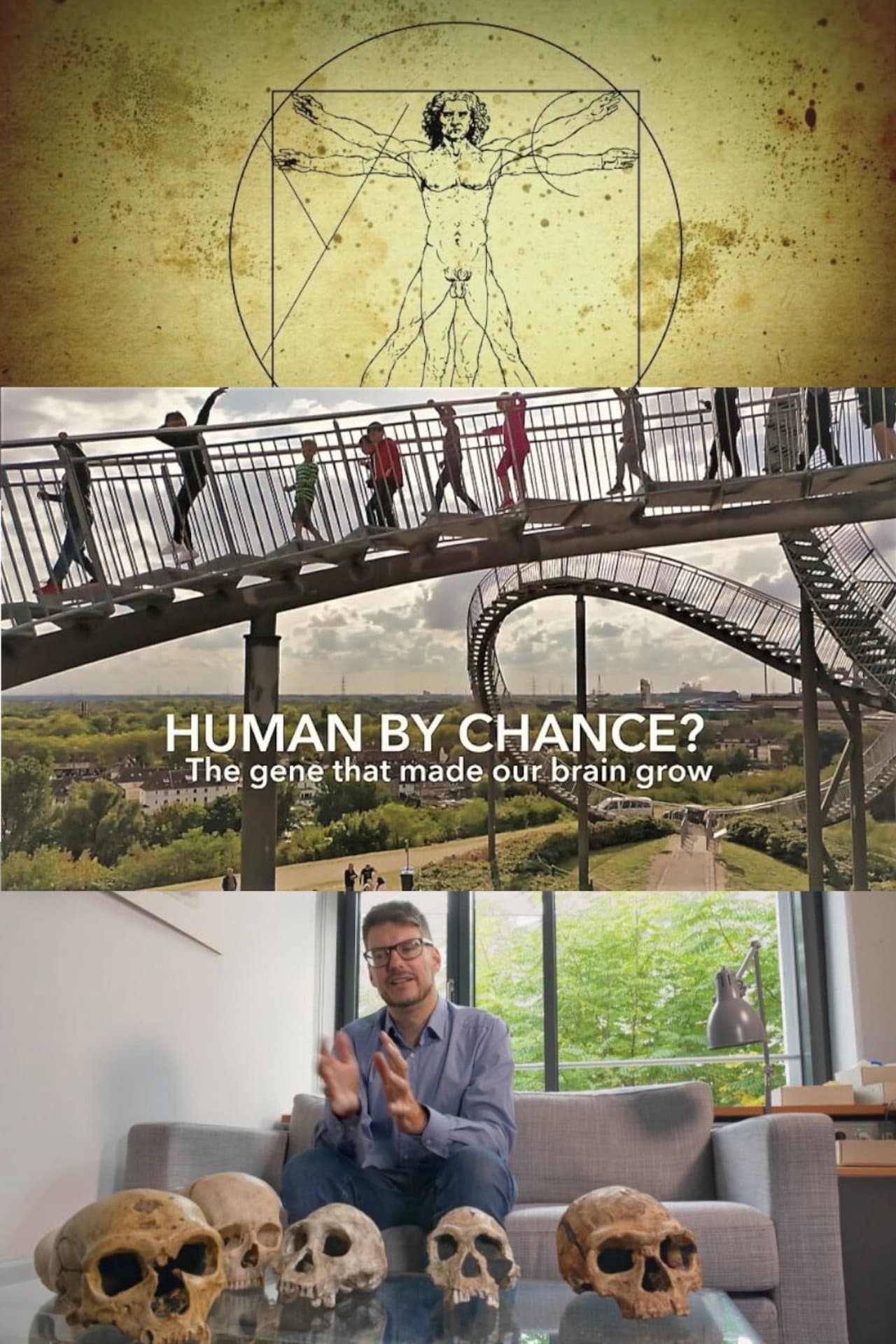 Human By Chance? preview 2