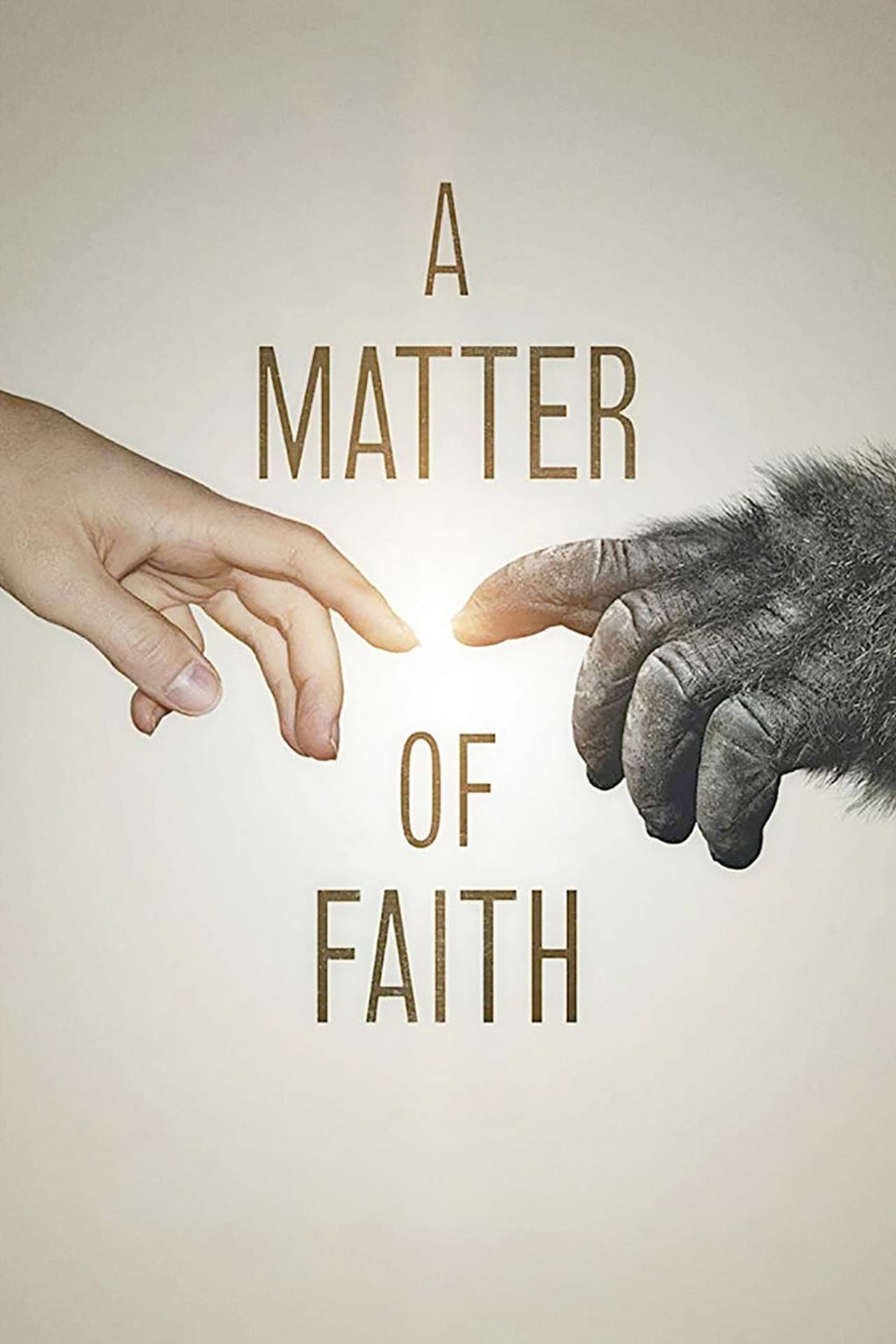 A Matter of Faith preview 2
