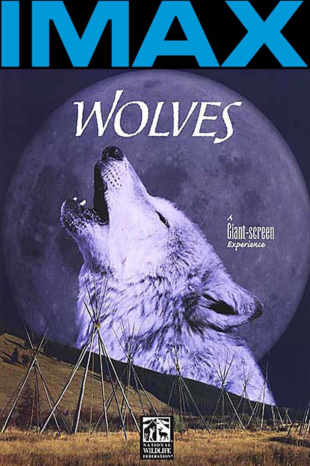 Wolves preview 2