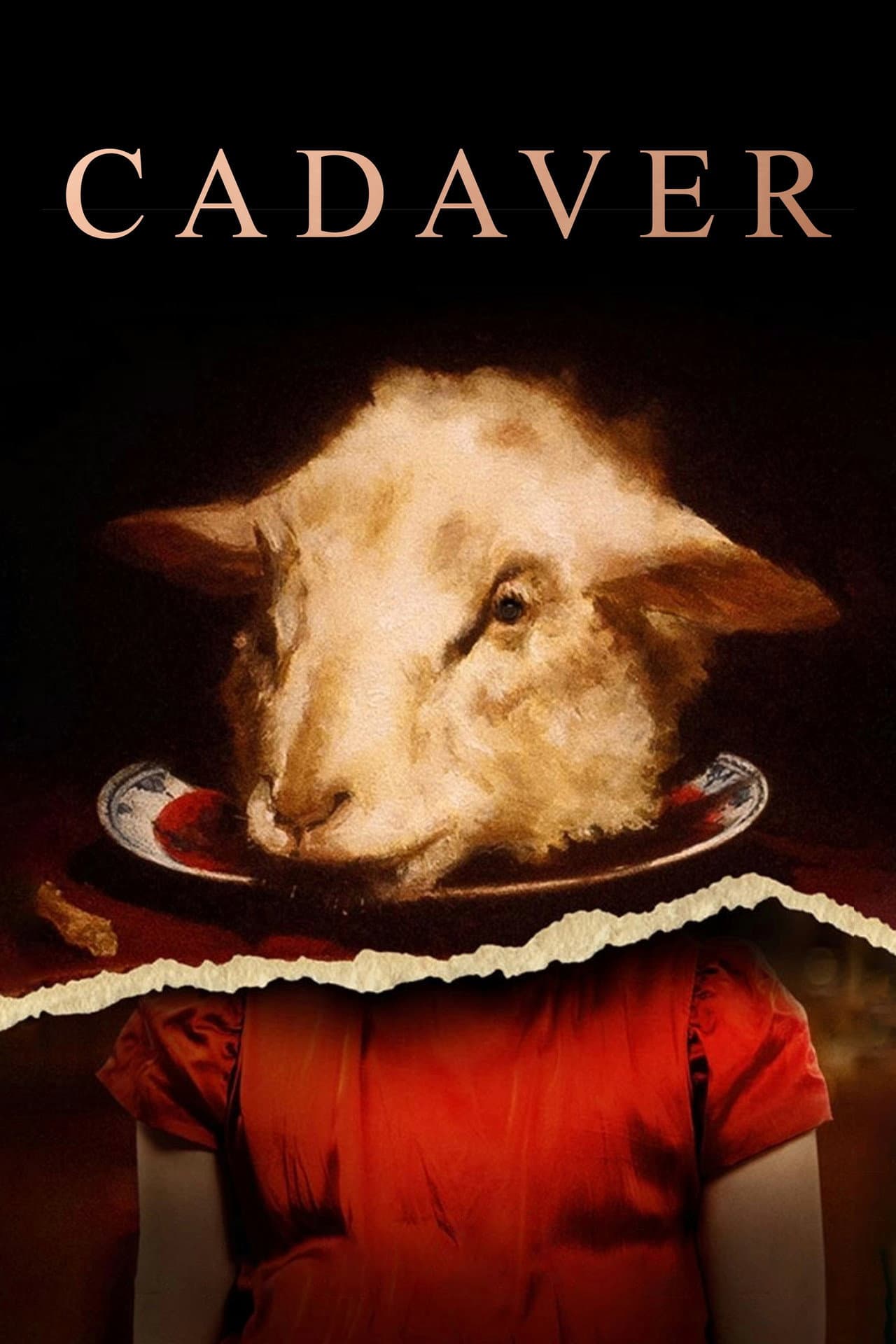 Cadaver preview 2