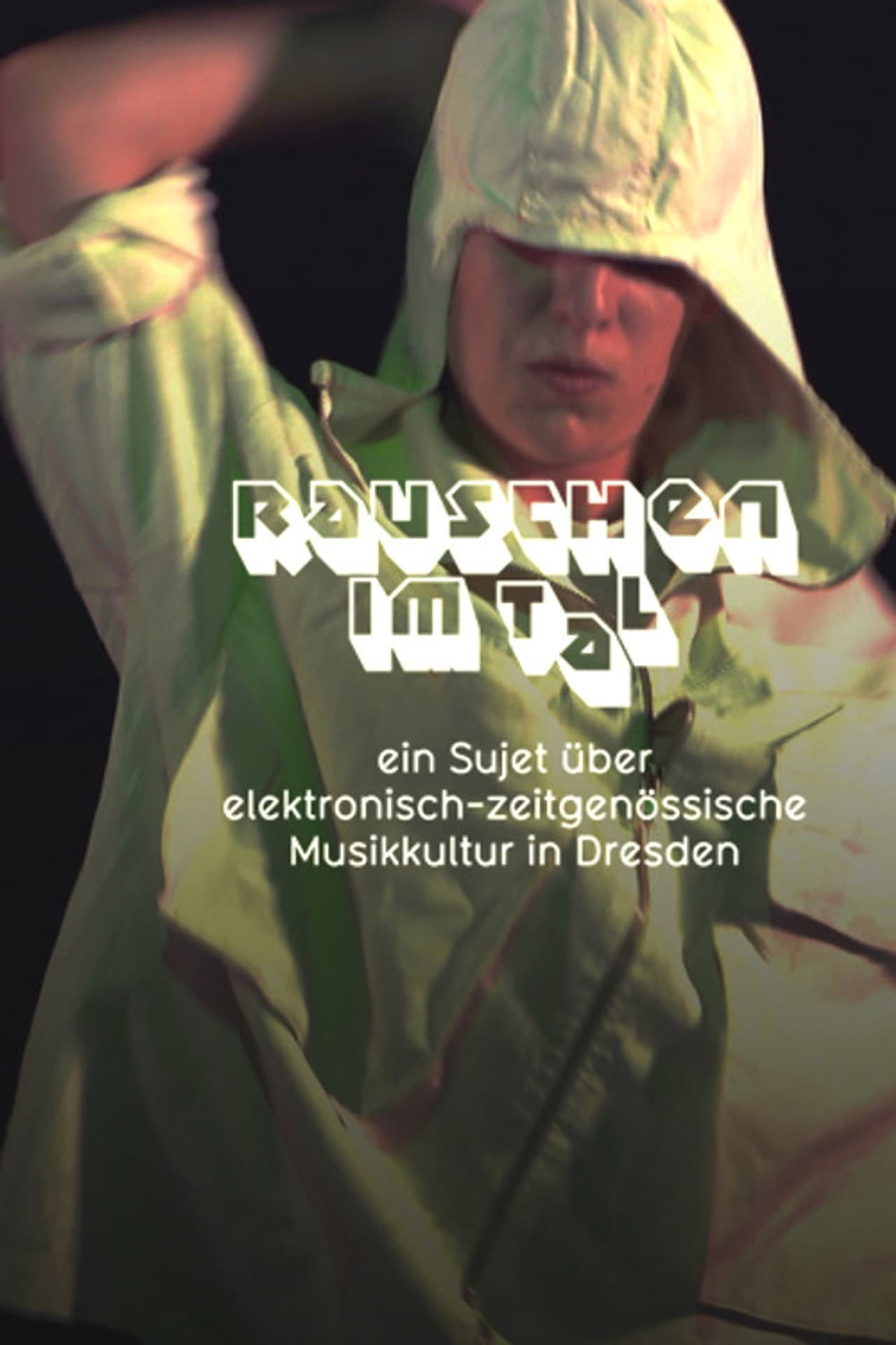 Rauschen im Tal preview 1