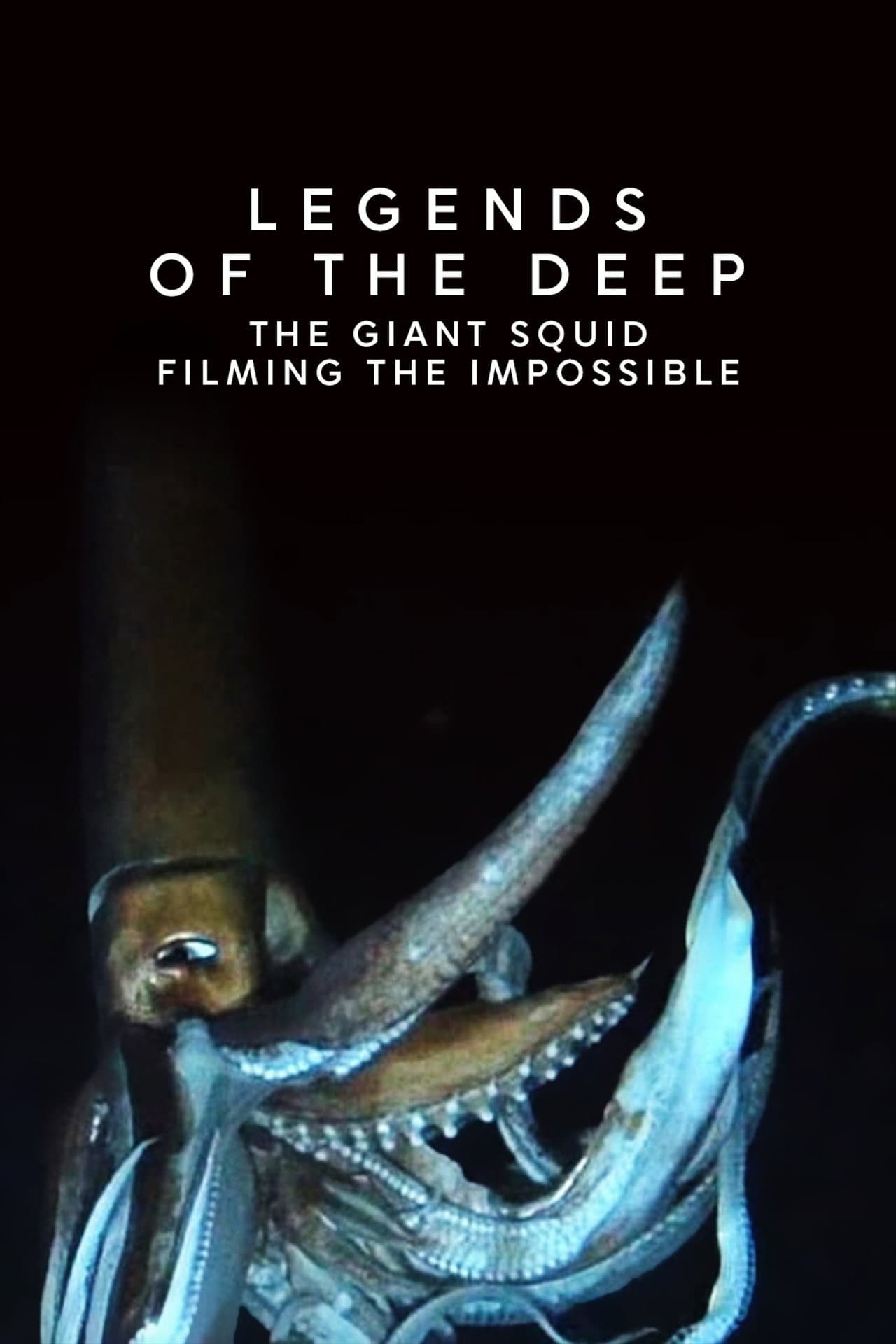 Legends of the Deep: The Giant Squid preview 1