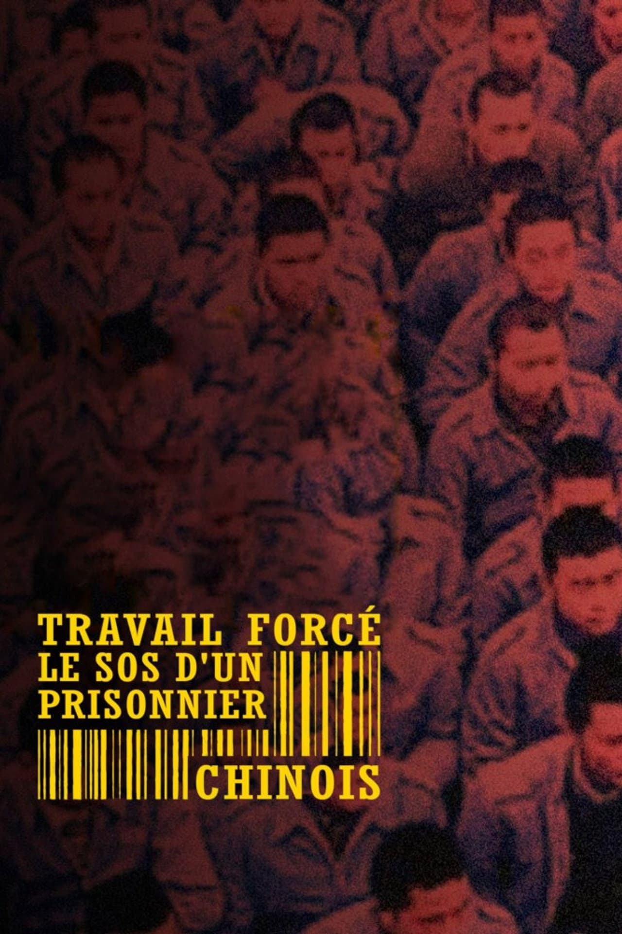 Forced Labour: SOS from a Chinese Prisoner preview 2