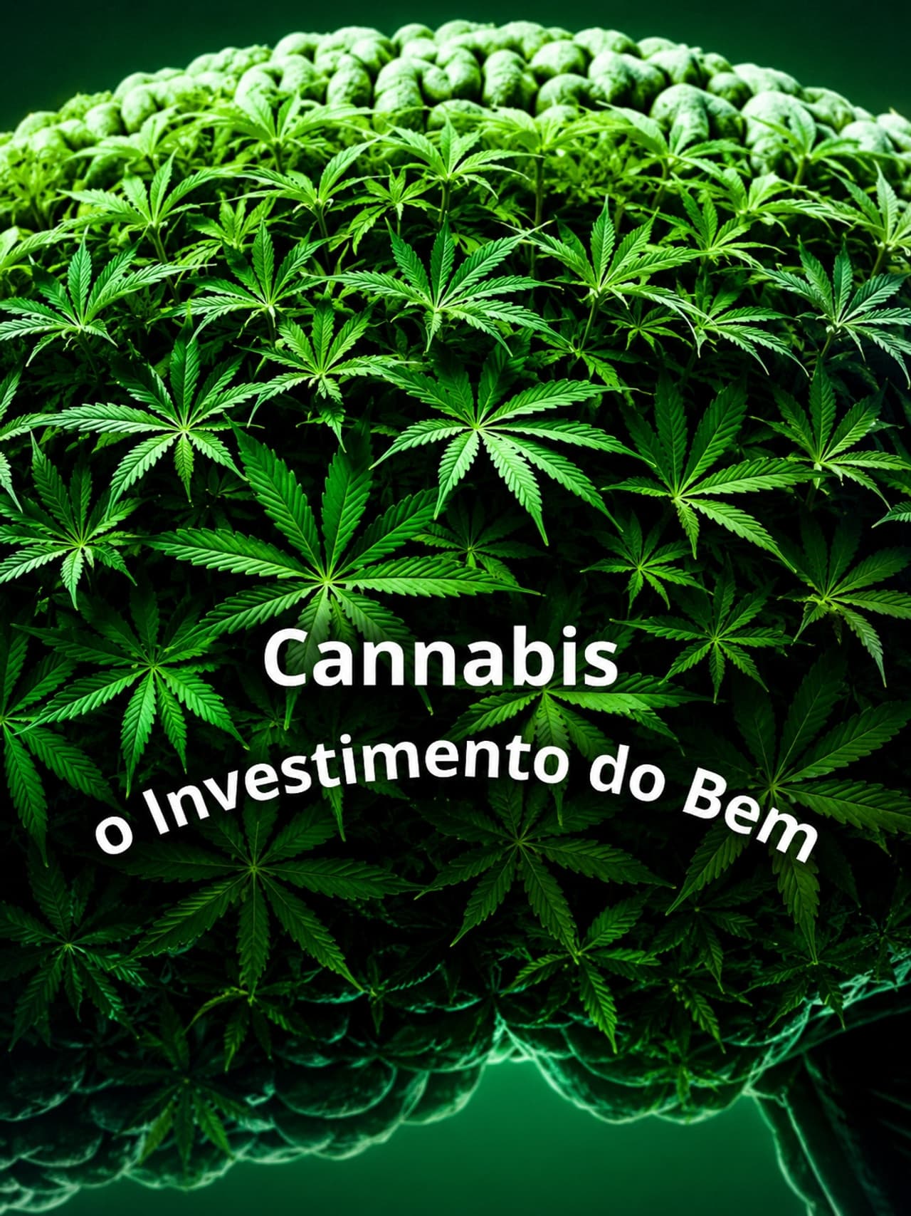 Cannabis: O Investimento do Bem preview 2