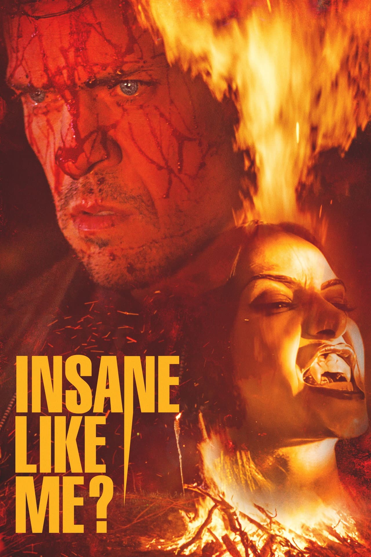 Insane Like Me? preview 2