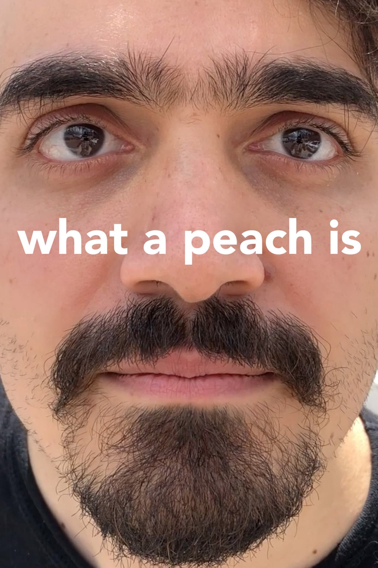 What a Peach Is preview 2