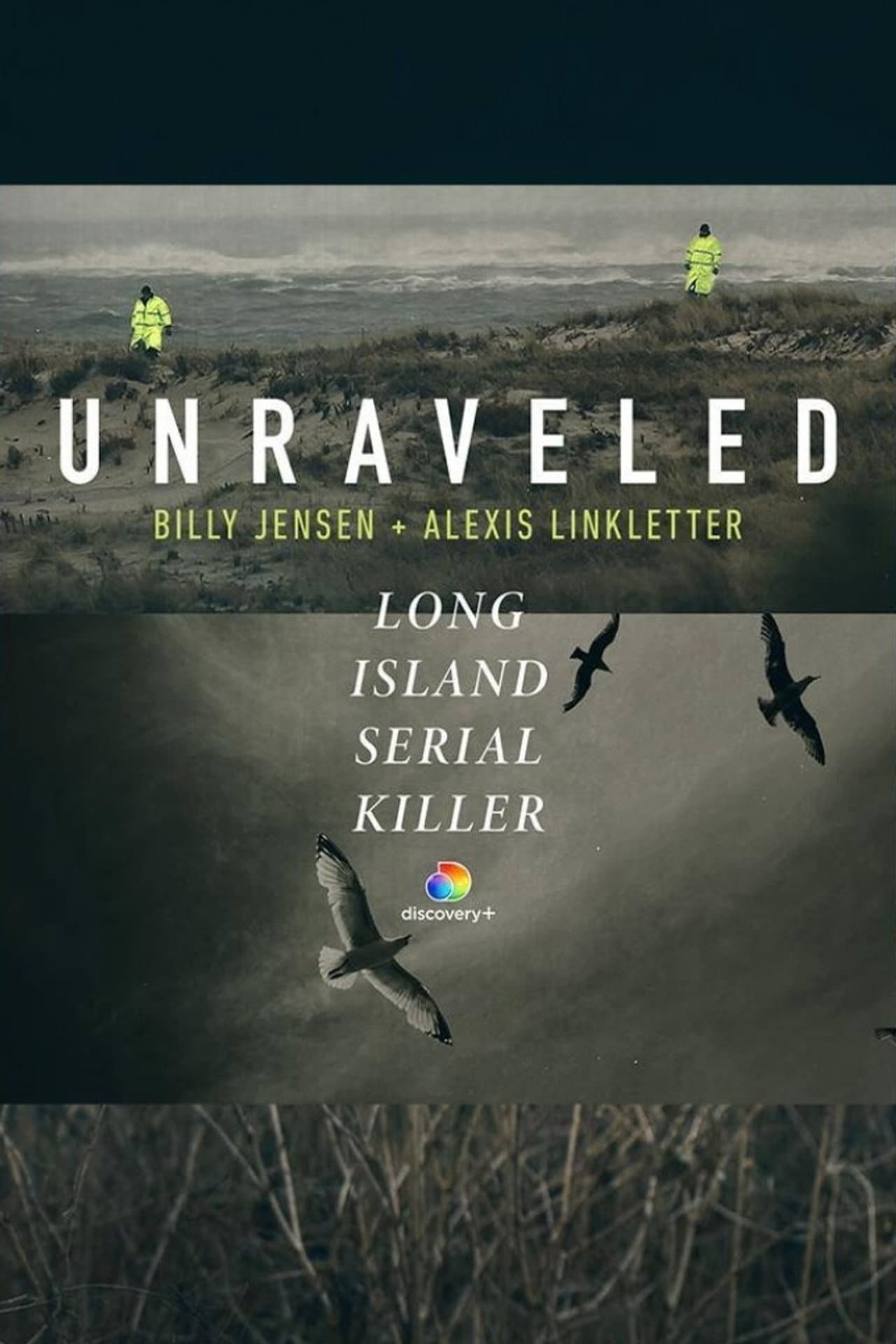 Unraveled: The Long Island Serial Killer preview 2