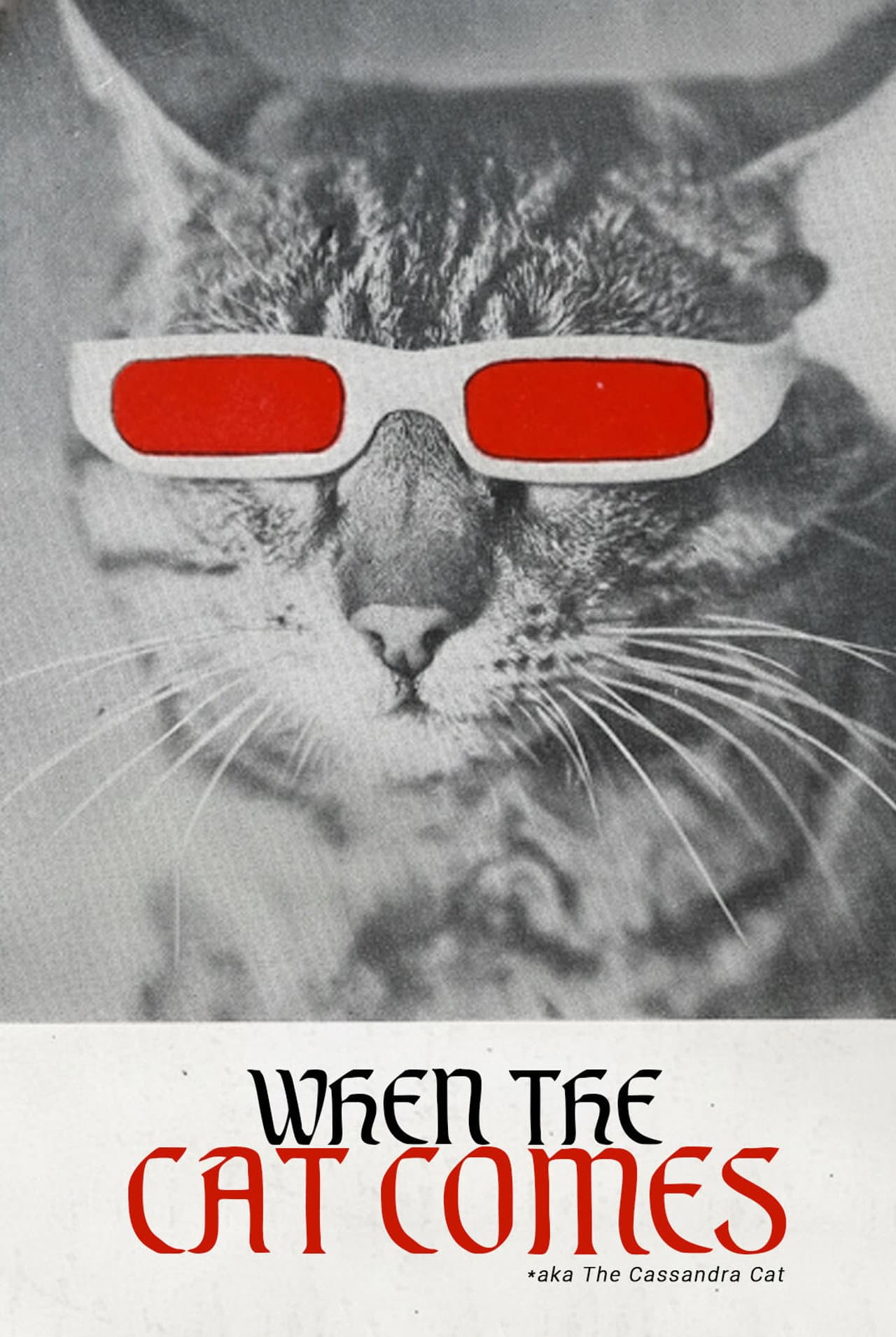 When the Cat Comes preview 2
