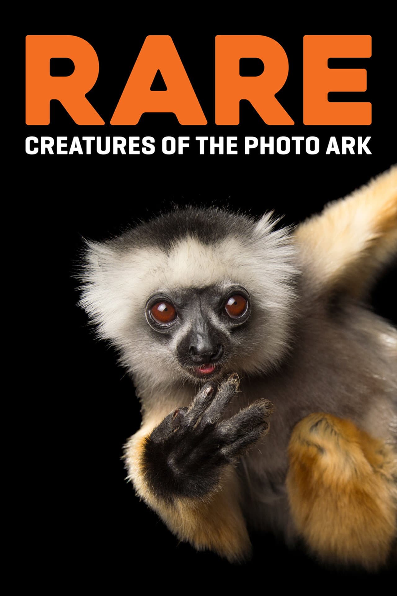 Rare: Creatures of the Photo Ark preview 2