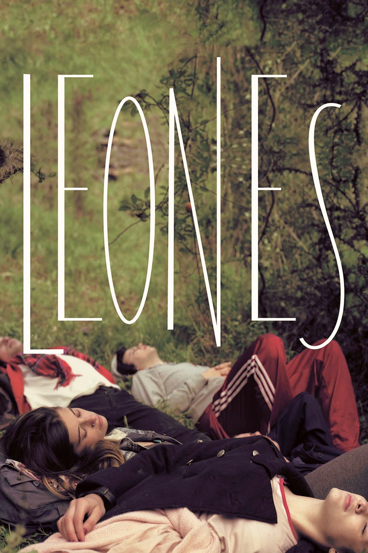 Lions preview 2