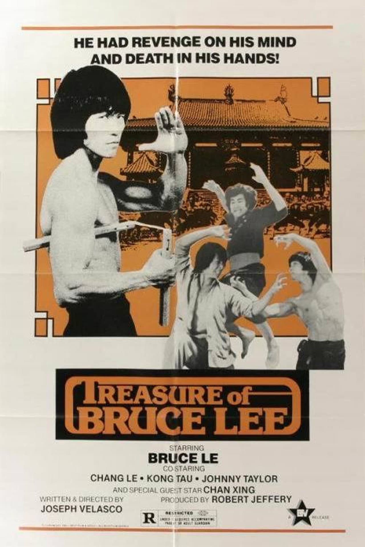 Treasure of Bruce Le preview 2