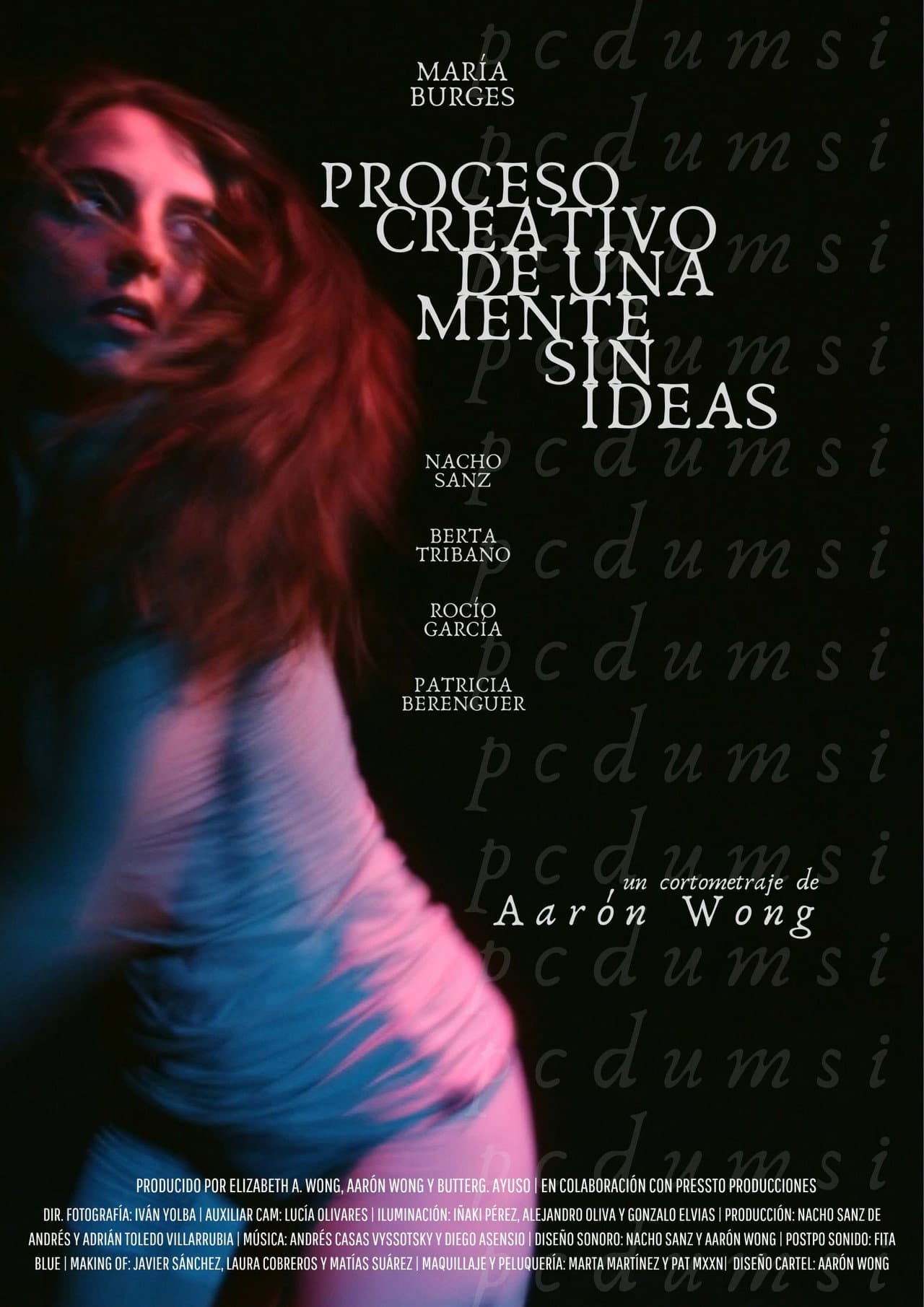 Proceso creativo de una mente sin ideas (PCDUMSI) preview 2