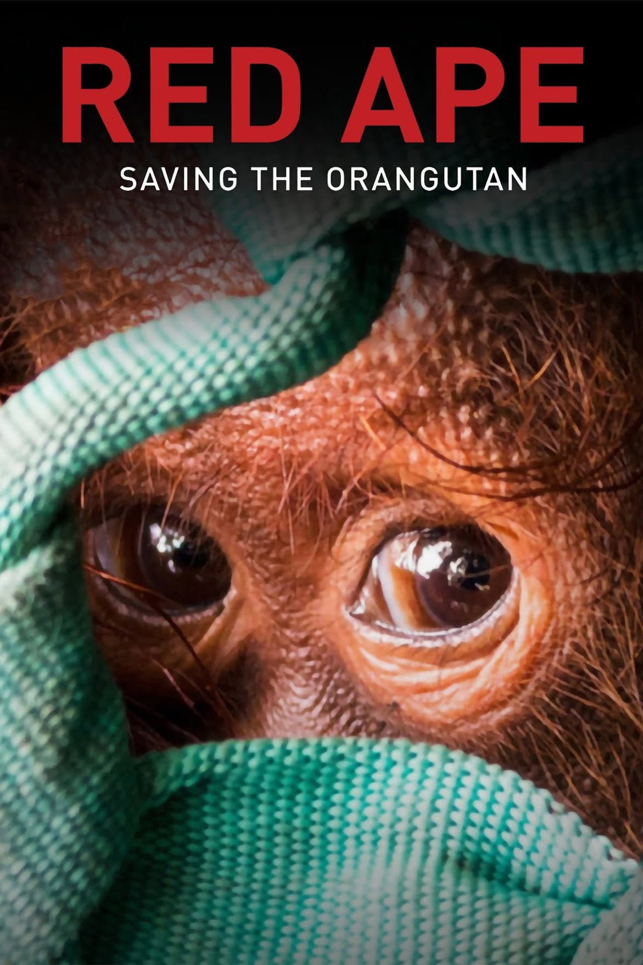 Red Ape: Saving the Orangutan preview 2