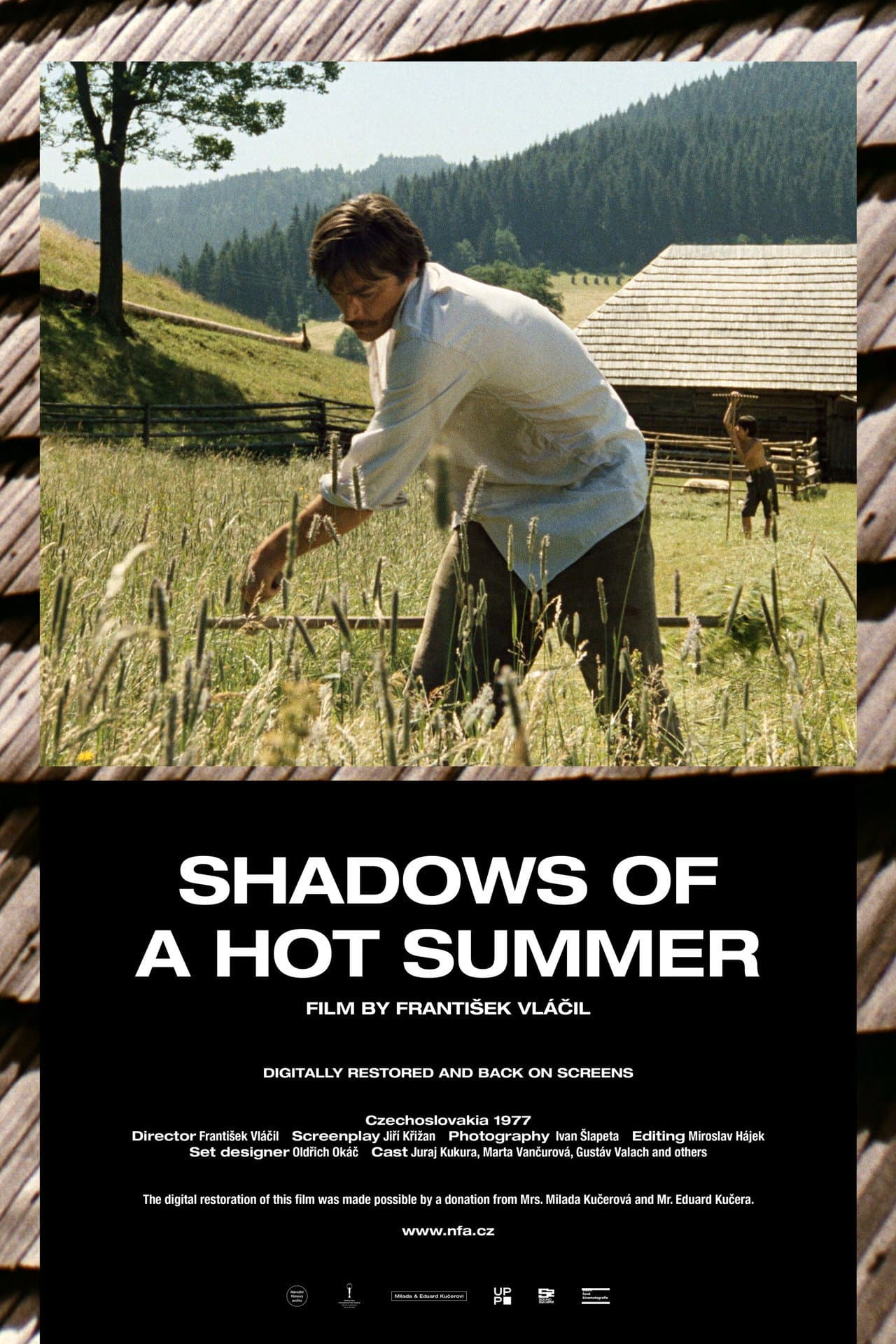 Shadows of a Hot Summer preview 2