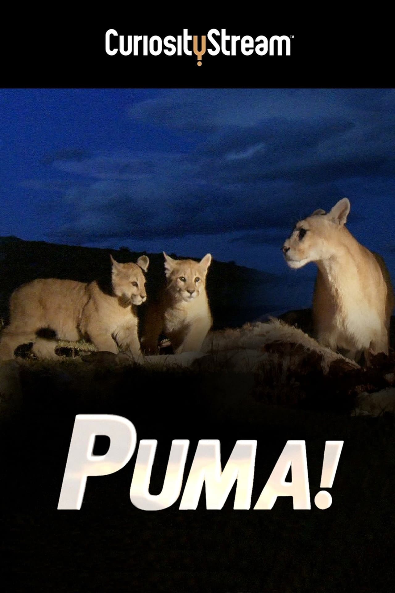 Puma! preview 2