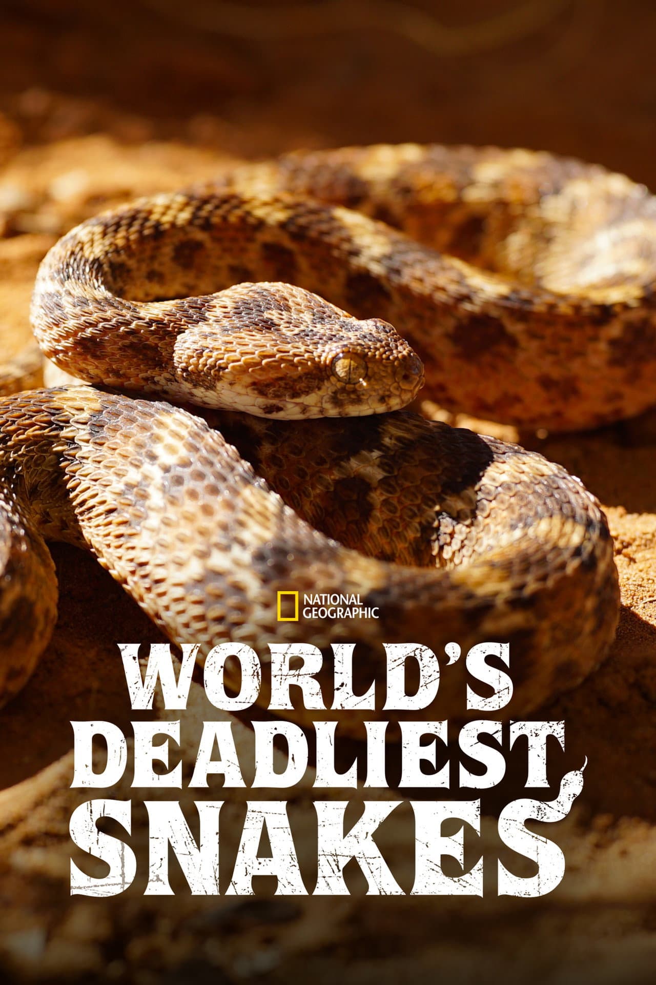 World's Deadliest Snakes preview 2