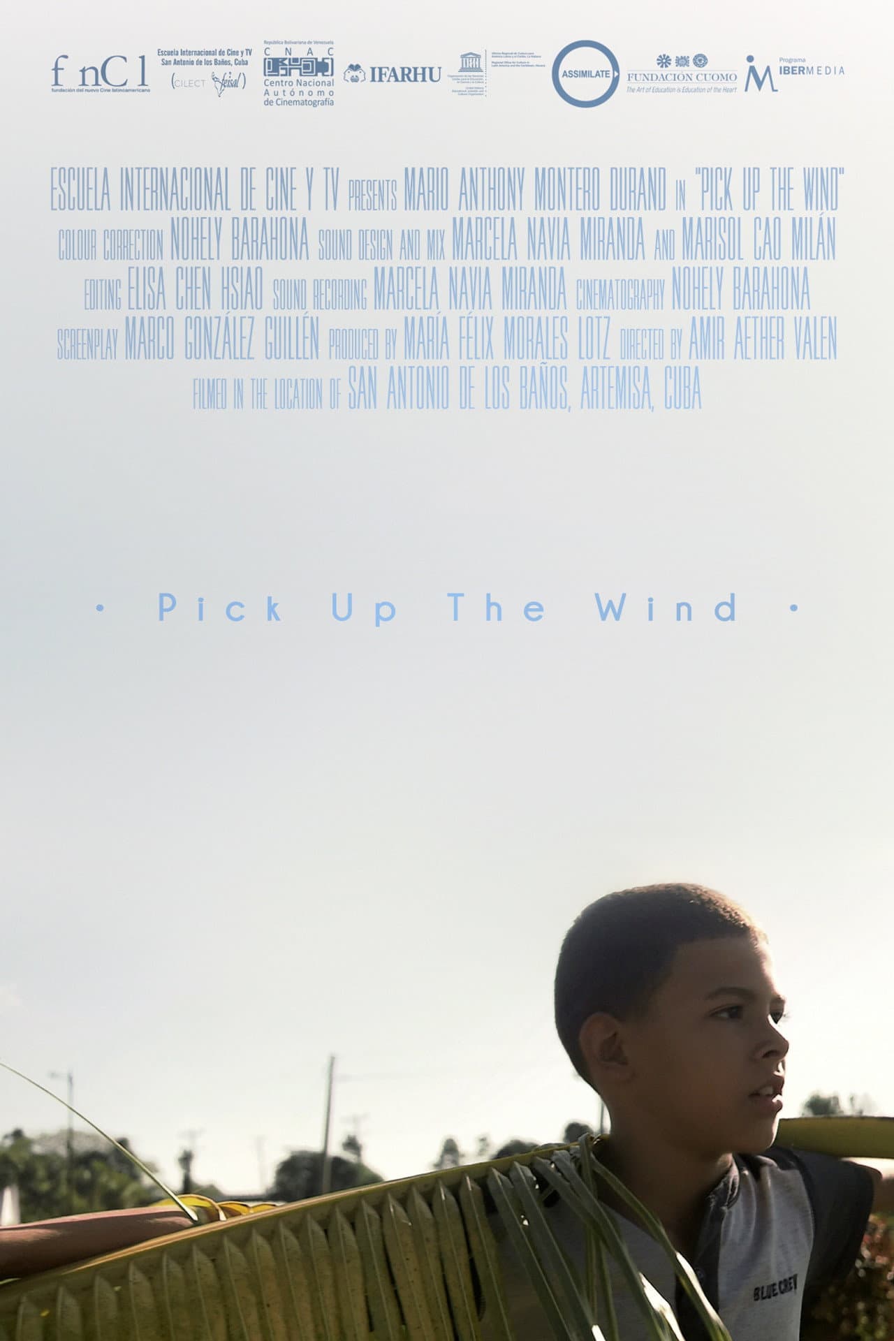 Pick up the Wind preview 2