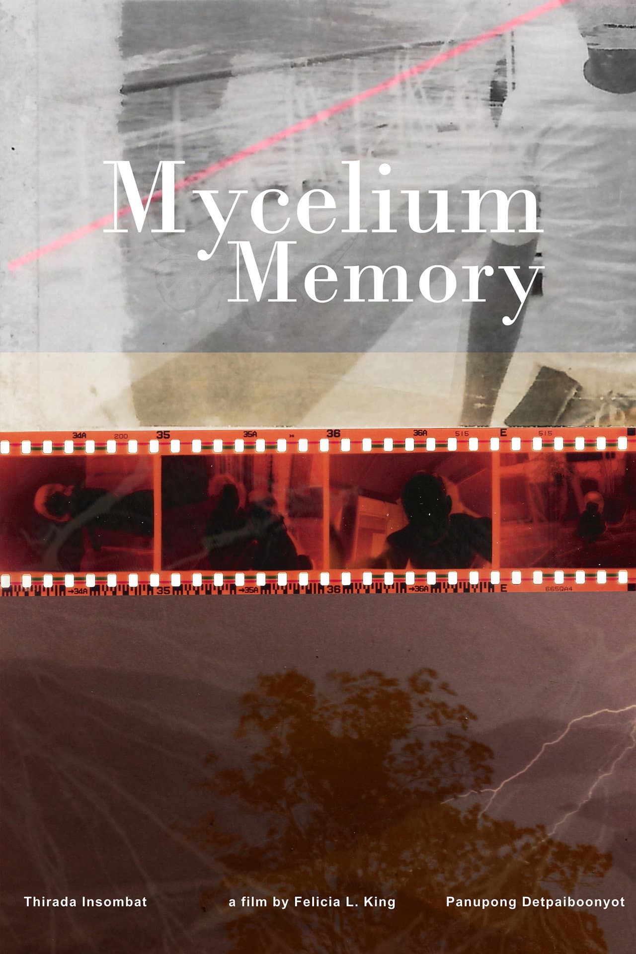 Mycelium Memory preview 2