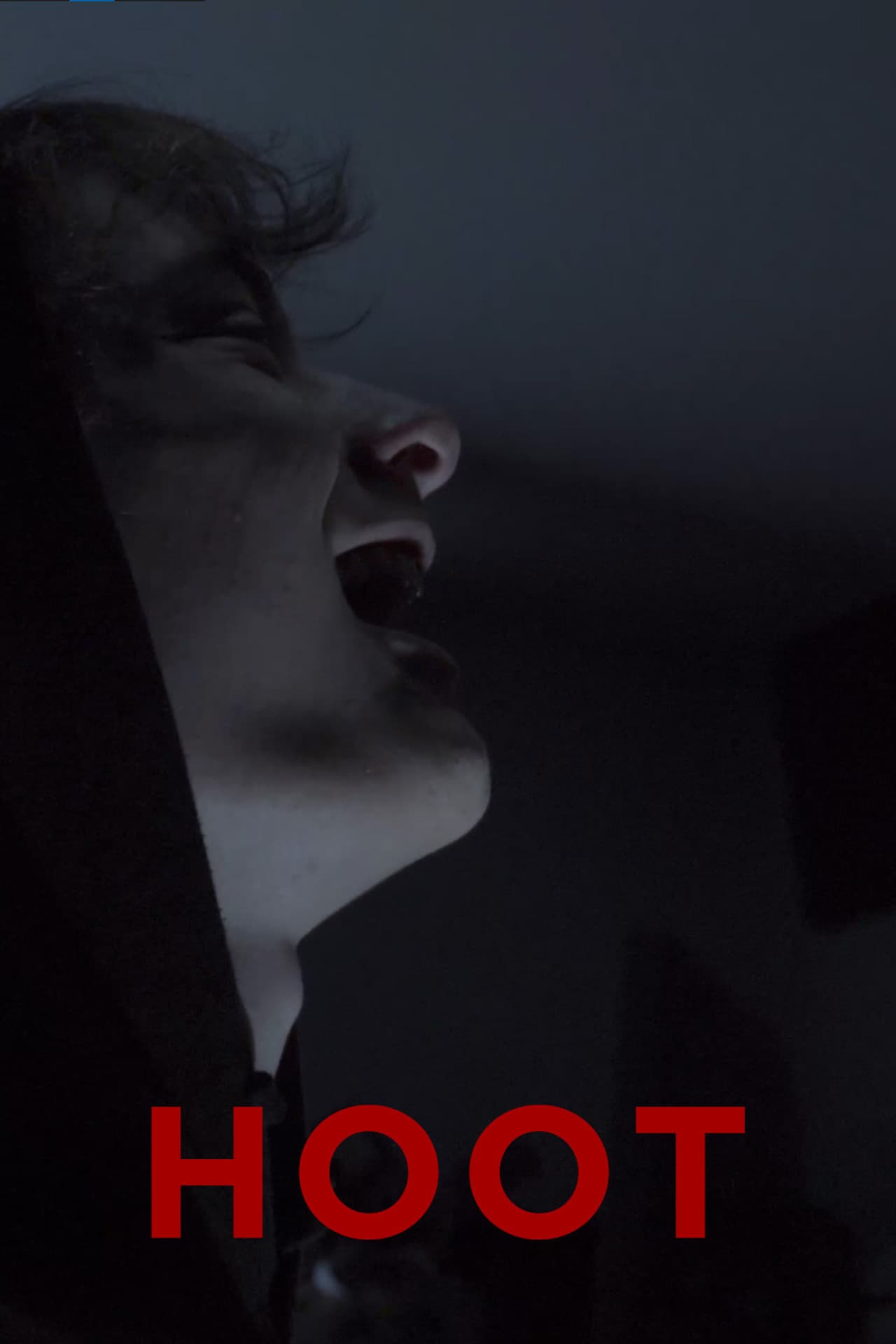 Hoot preview 2