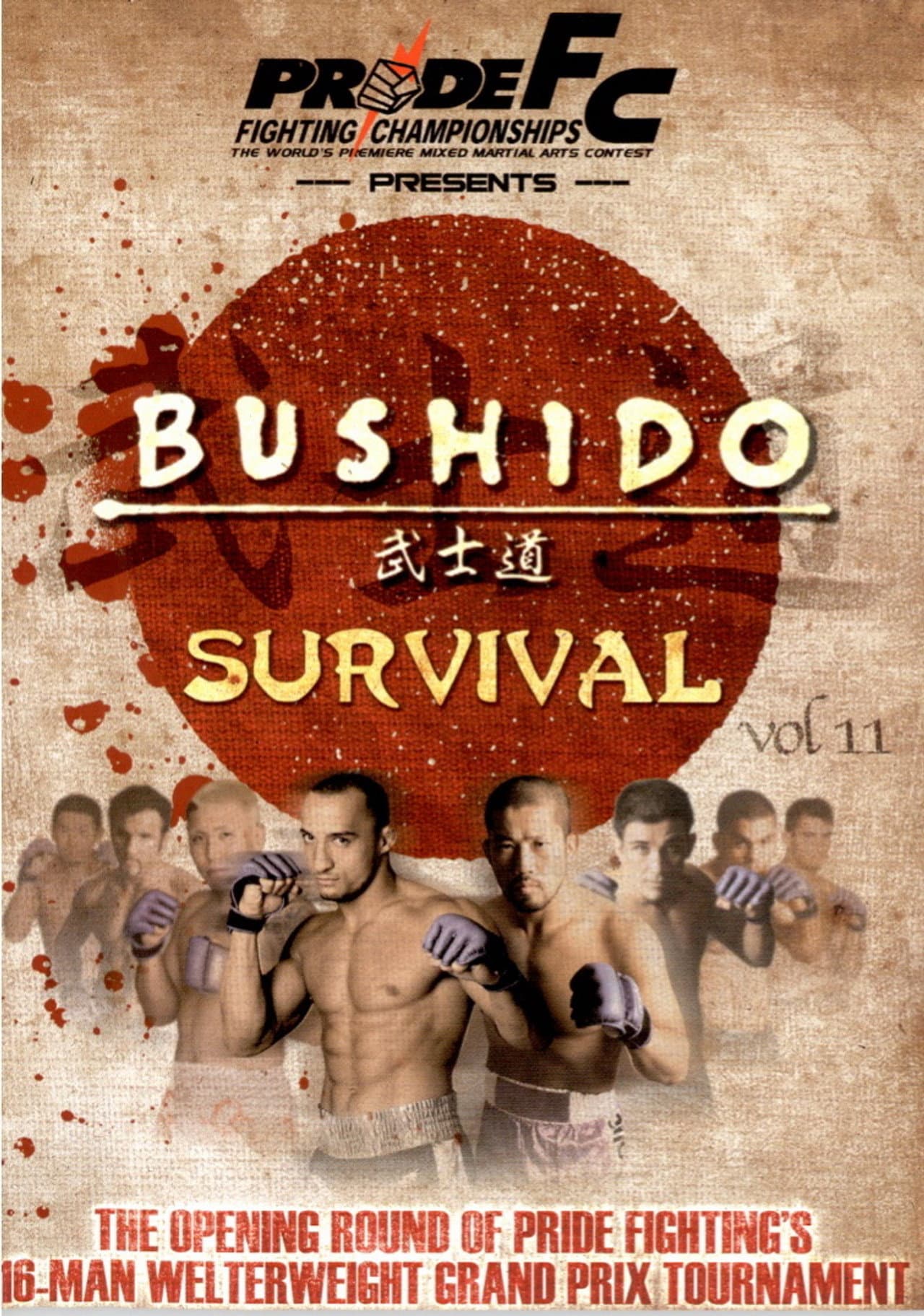 Pride Bushido 11 preview 1