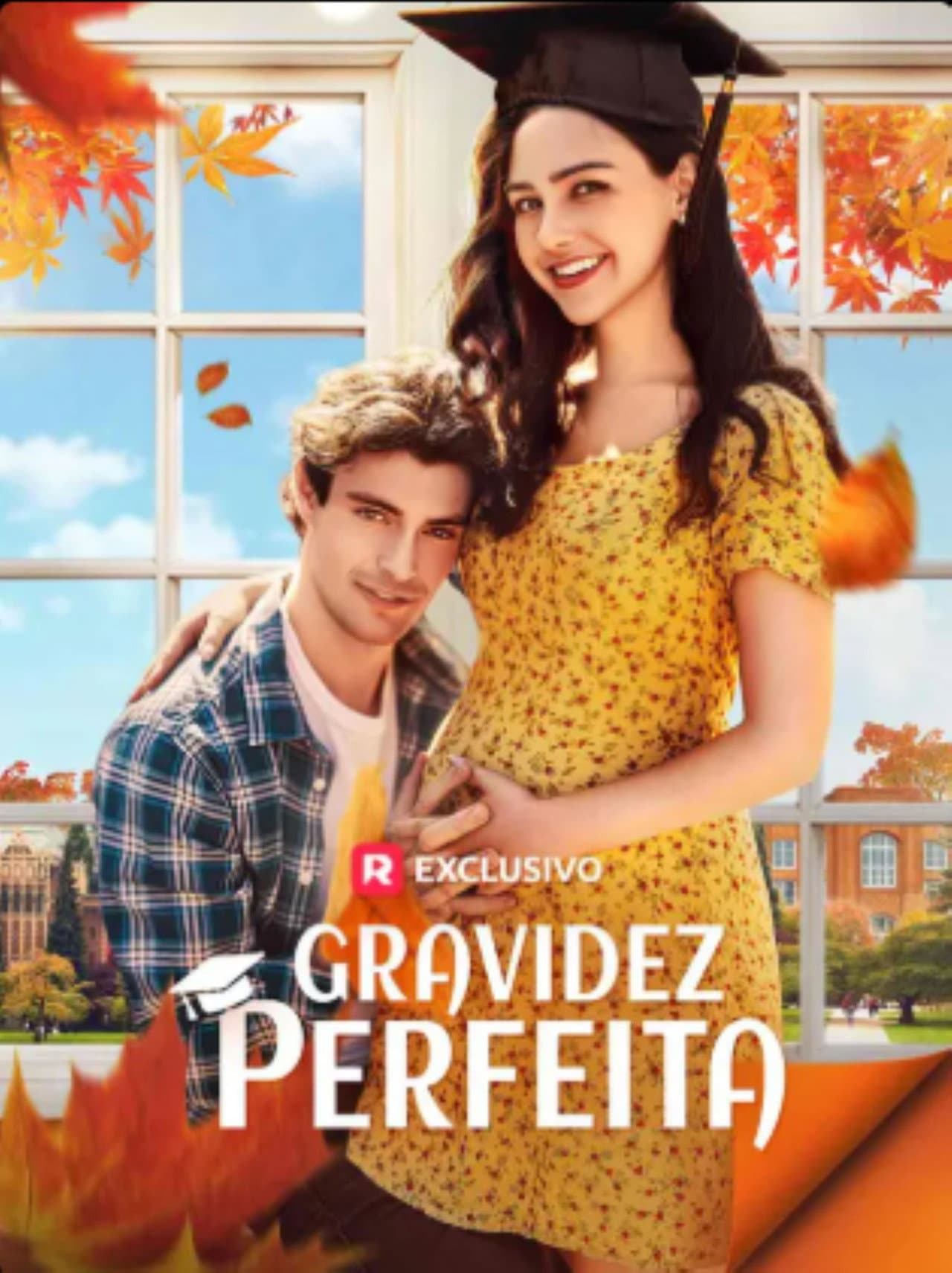 Gravidez Perfeita preview 1