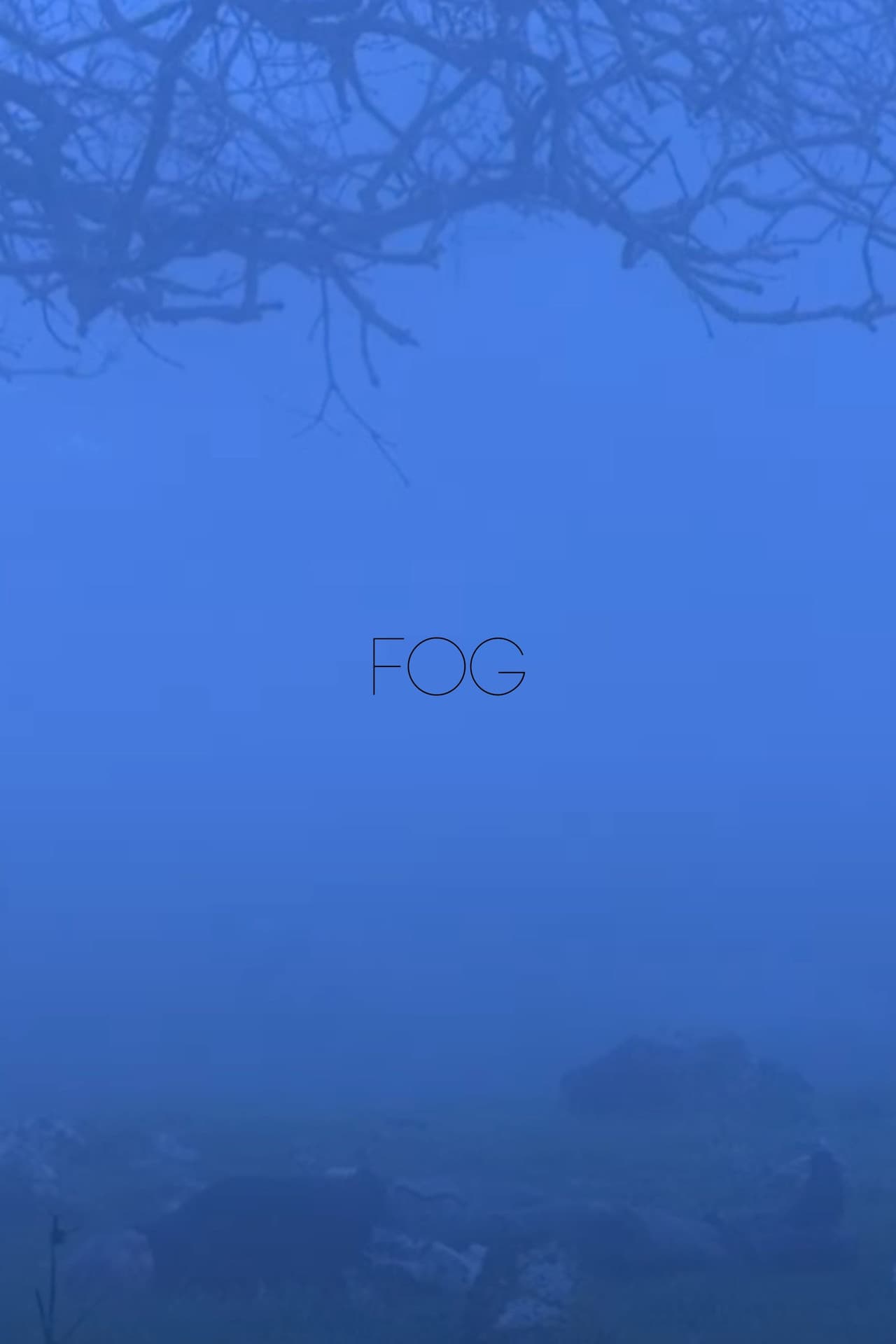 Fog preview 2