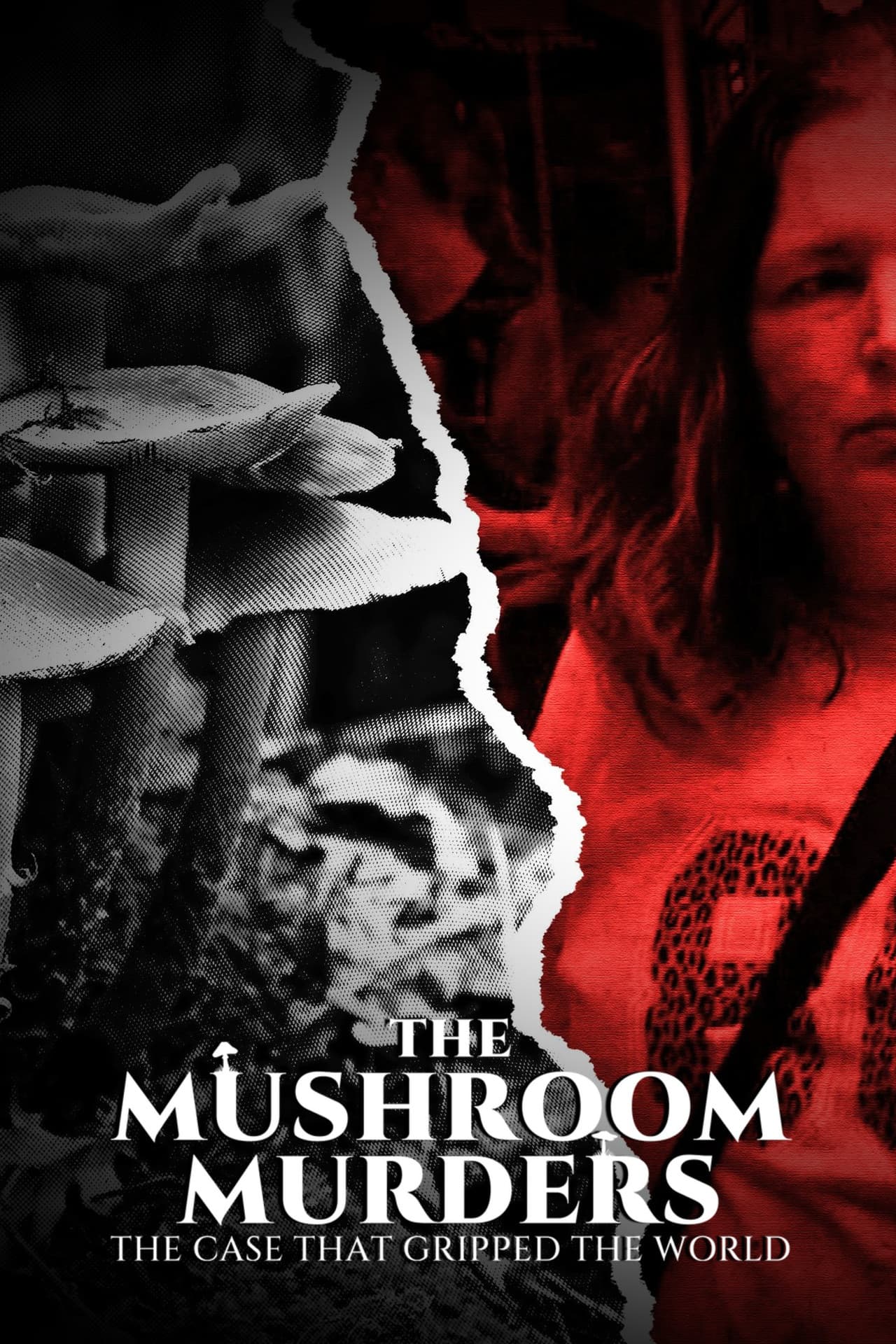 The Mushroom Murders: The Case That Gripped the World preview 2