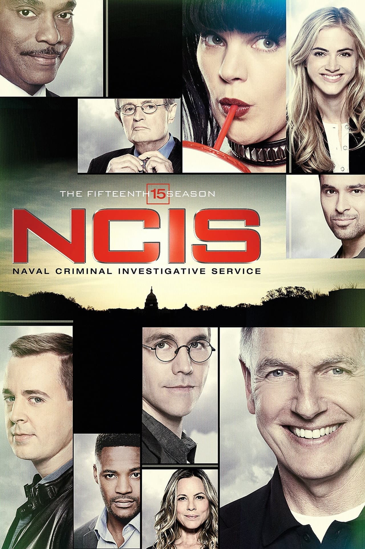 Season 15