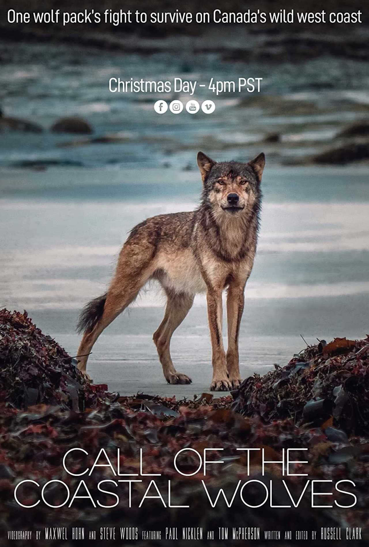 Call Of The Coastal Wolves preview 2