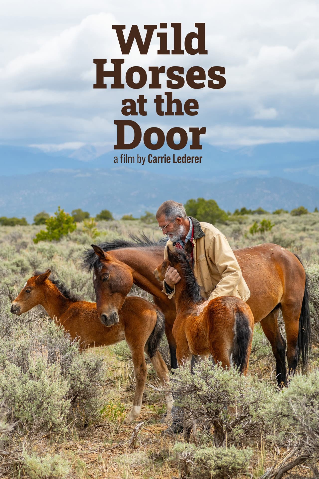 Wild Horses at the Door preview 2