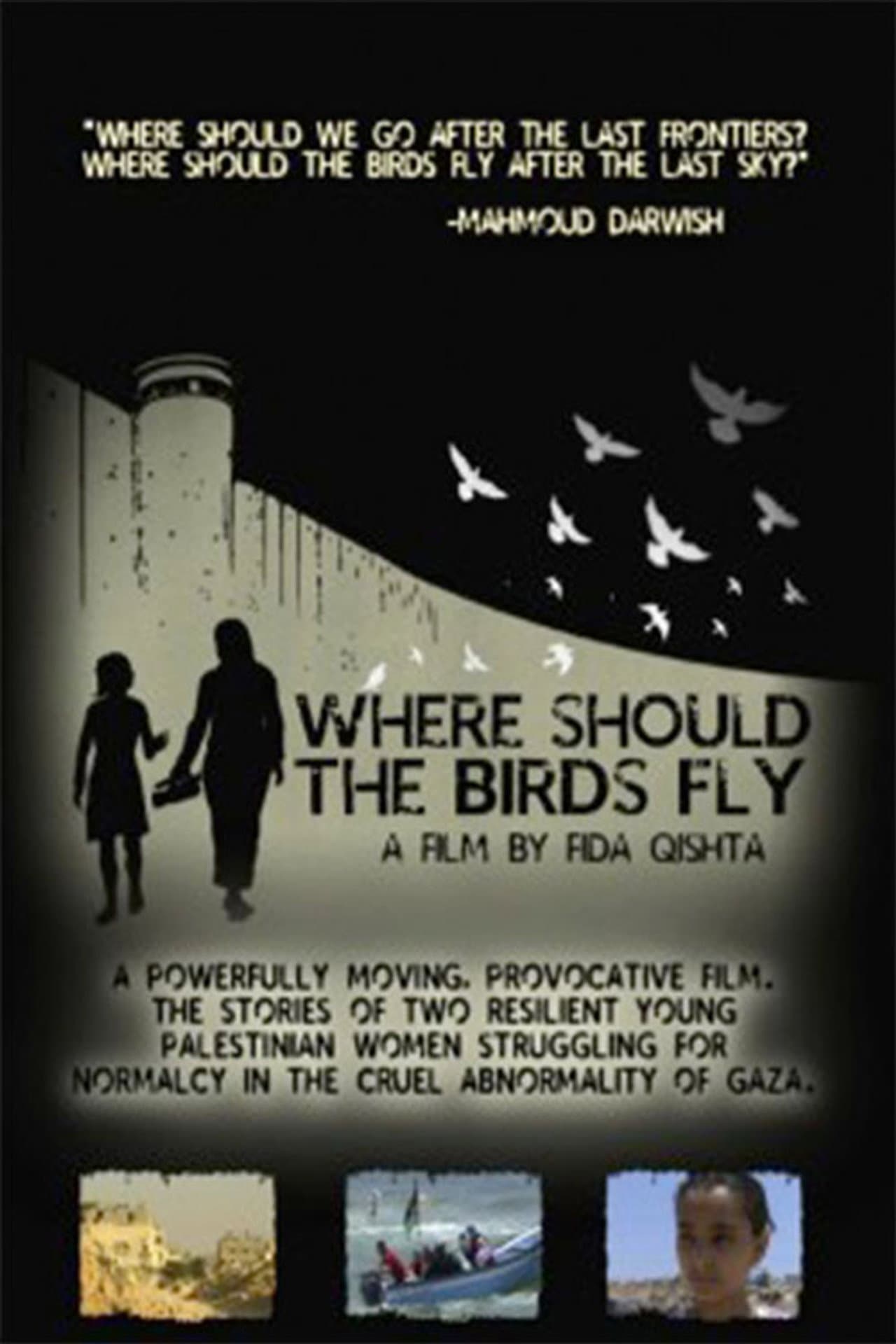 Where Should the Birds Fly? preview 1