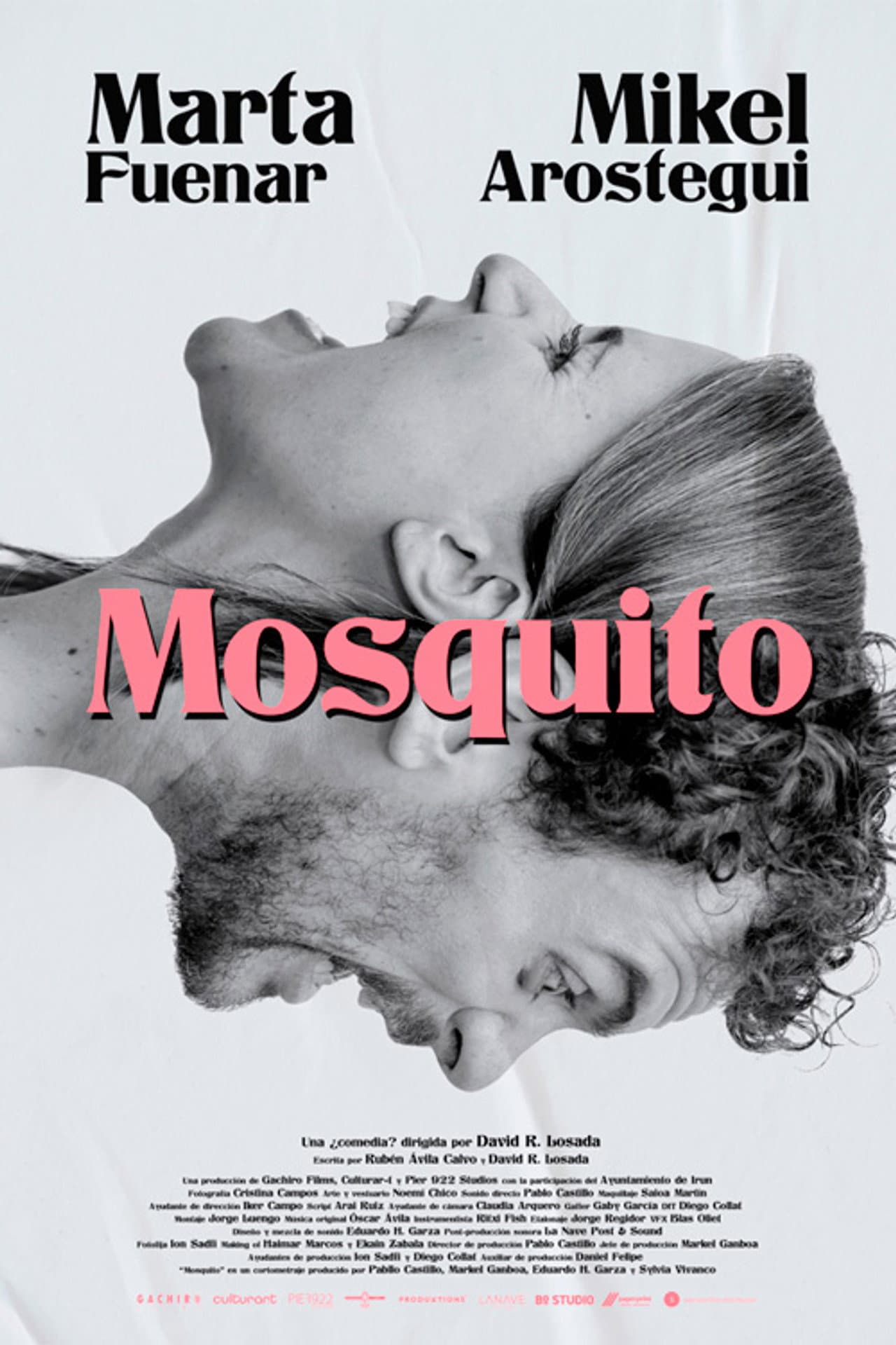 Mosquito preview 2