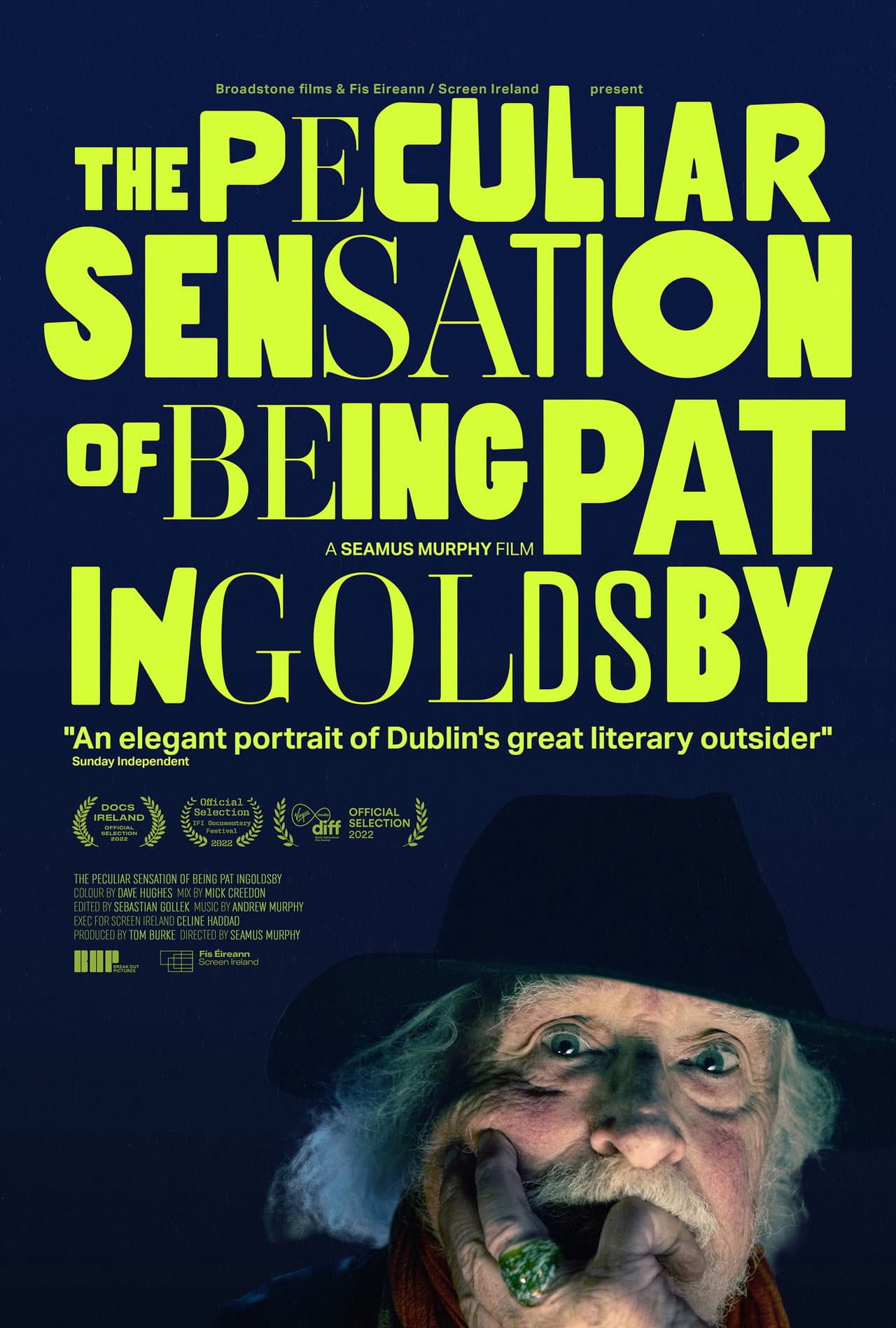 The Peculiar Sensation of Being Pat Ingoldsby preview 2