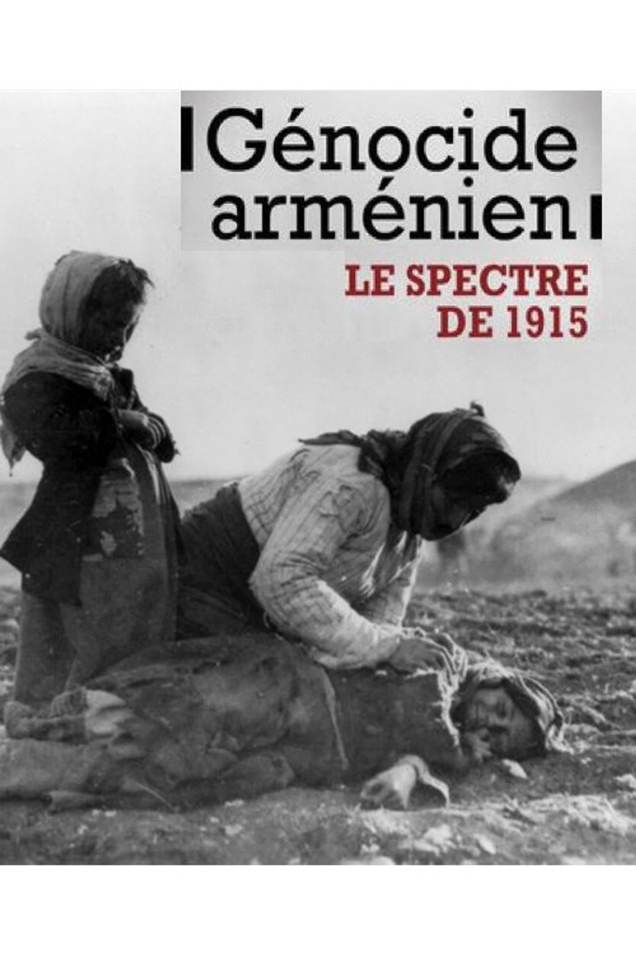 Génocide arménien, le spectre de 1915 preview 2