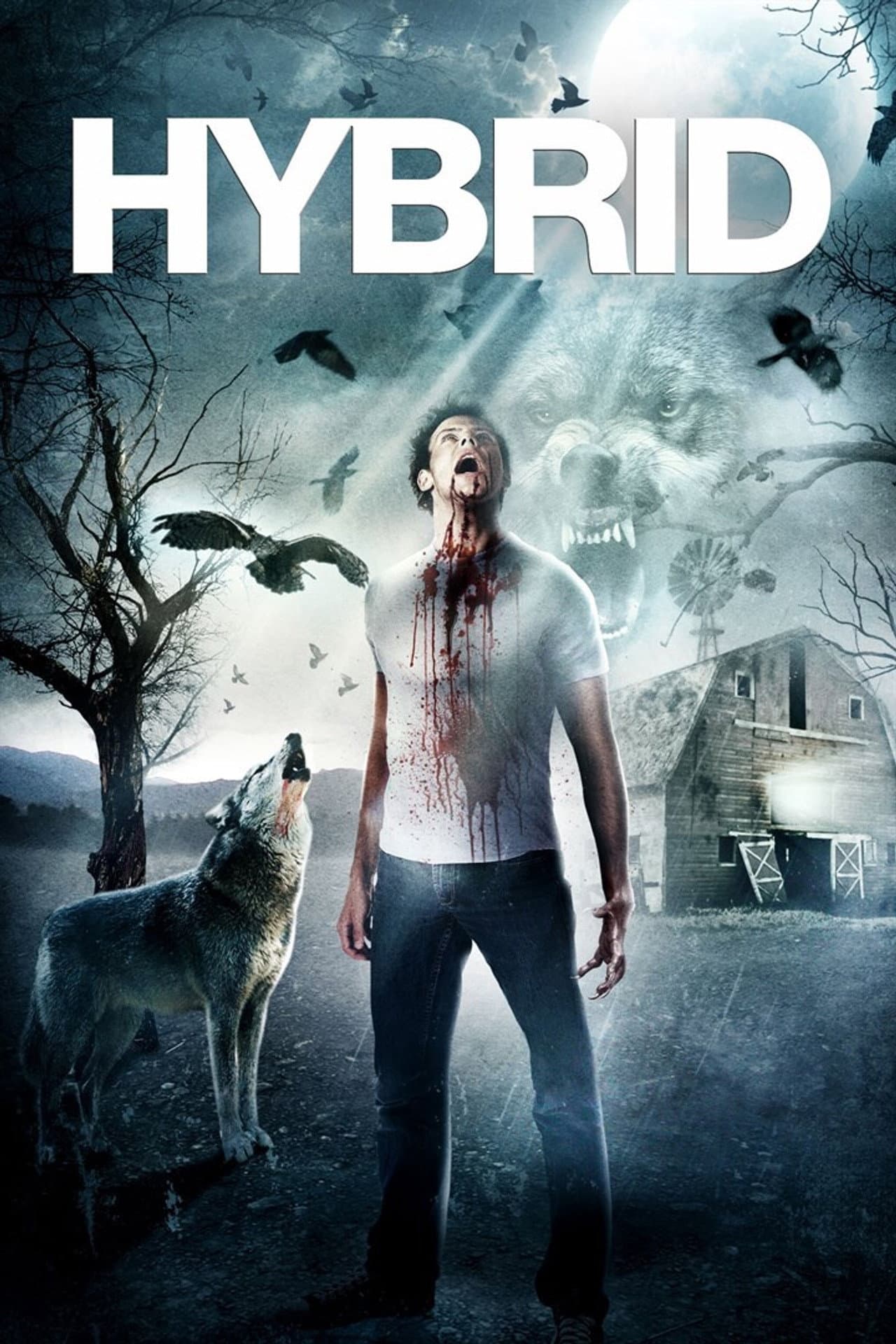 Hybrid preview 2