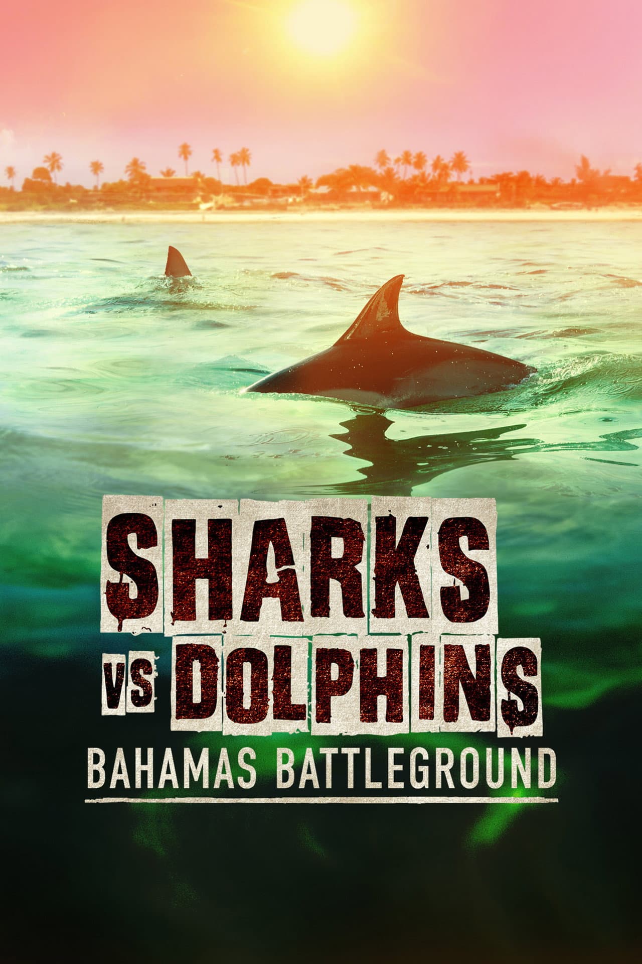 Sharks vs. Dolphins: Bahamas Battleground preview 2