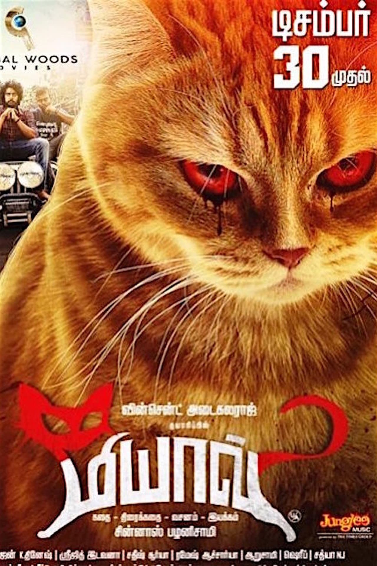 Meow preview 2